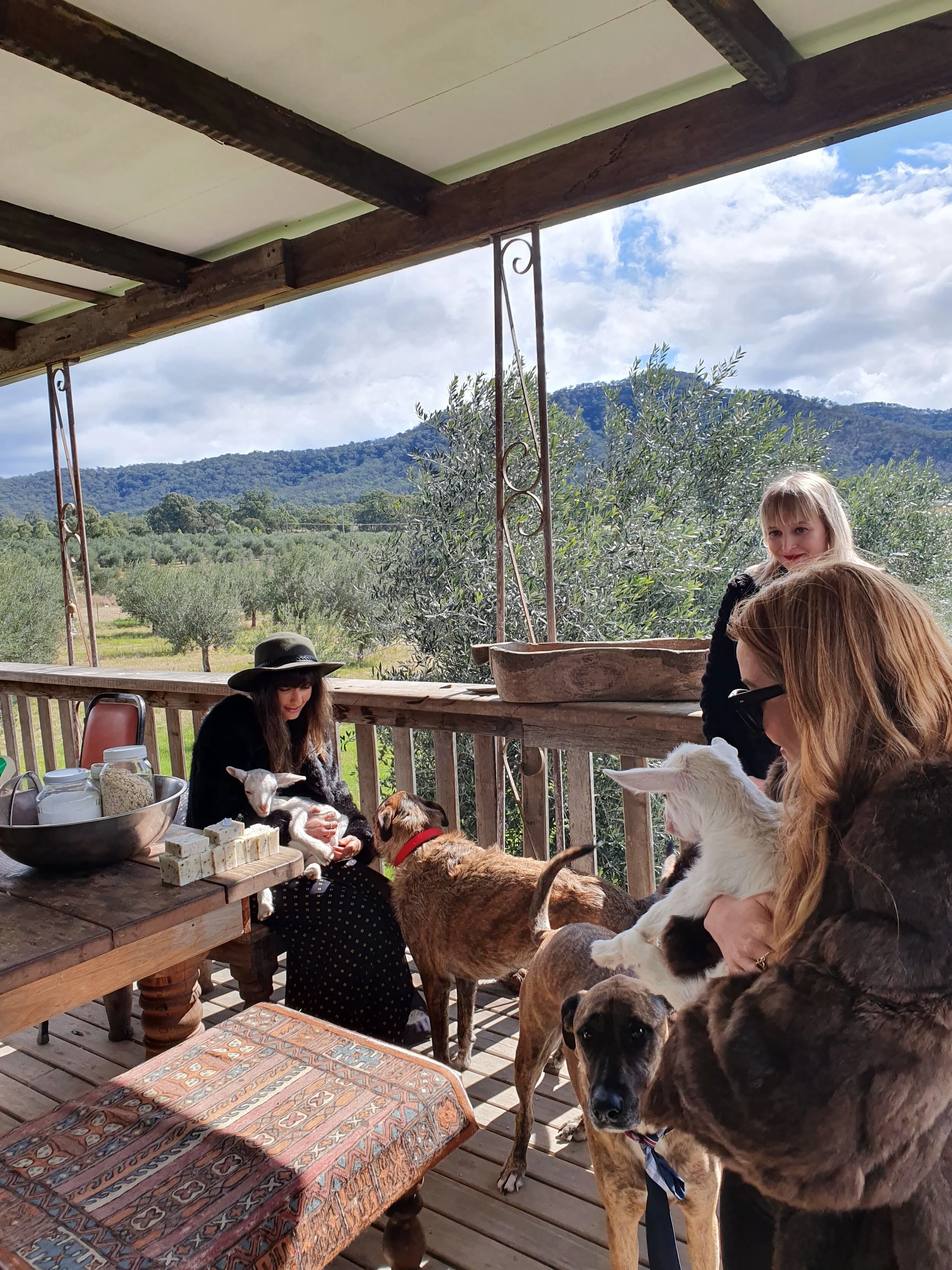 Hunter Valley Wine Tours Urban Legends Tour Co The hunter valley is australia's oldest wine growing region and only a short two hour drive from sydney. hunter valley wine tours urban
