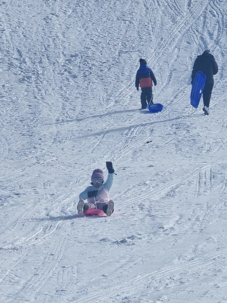 Tobogganing on a snow trip to Perisher