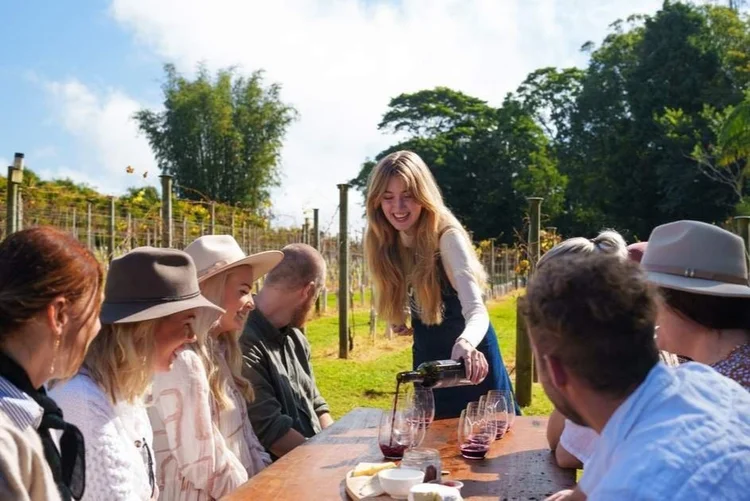 A group at a cellar door tasting among the vines on Mount Tamborine