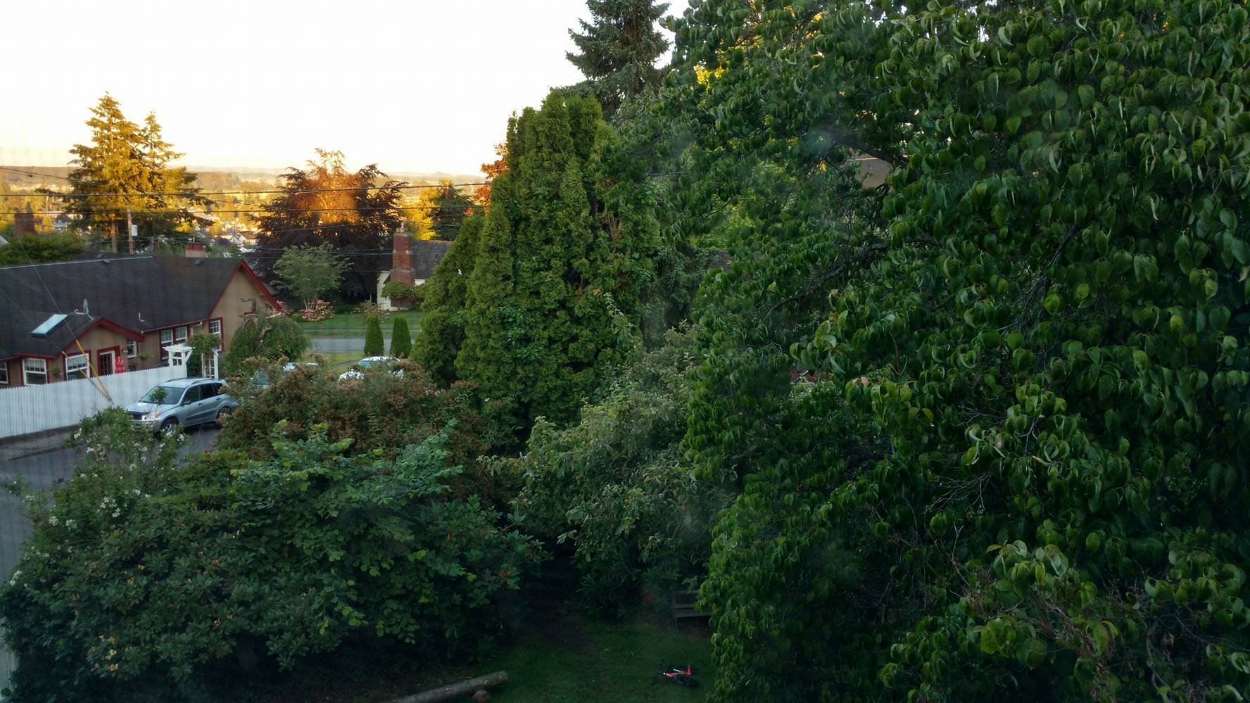 I open my window and breath in some fresh air. I love the view from my bedroom. 