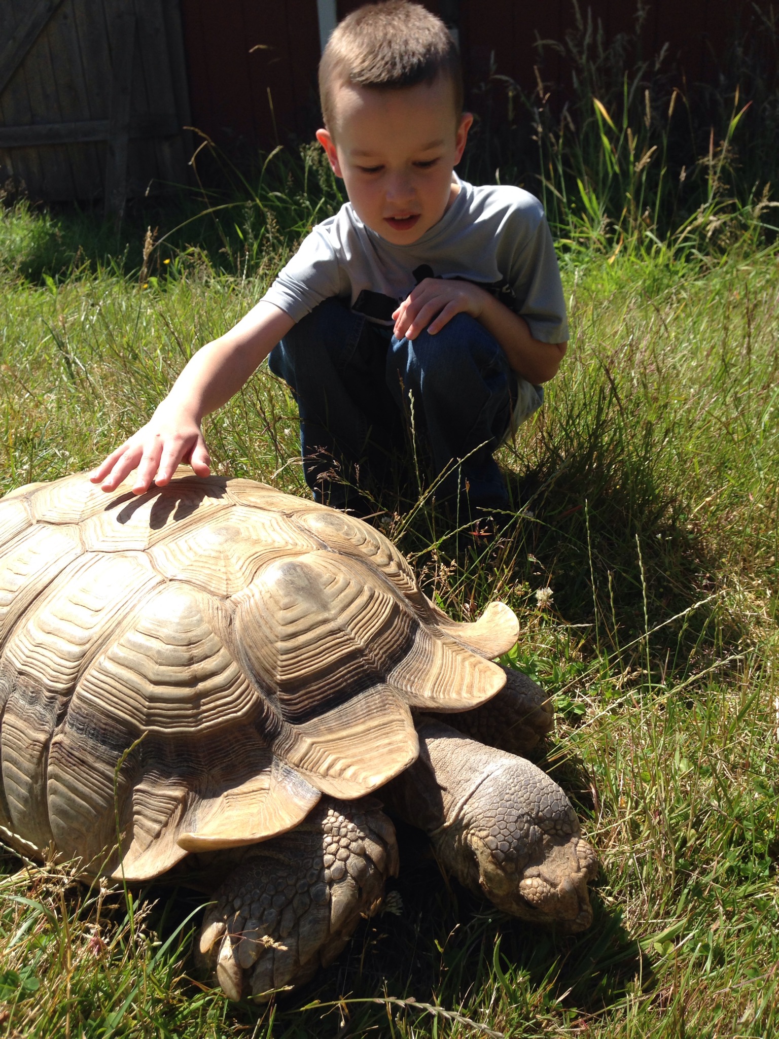 Our animal expert loves visiting the Reptile Zoo.