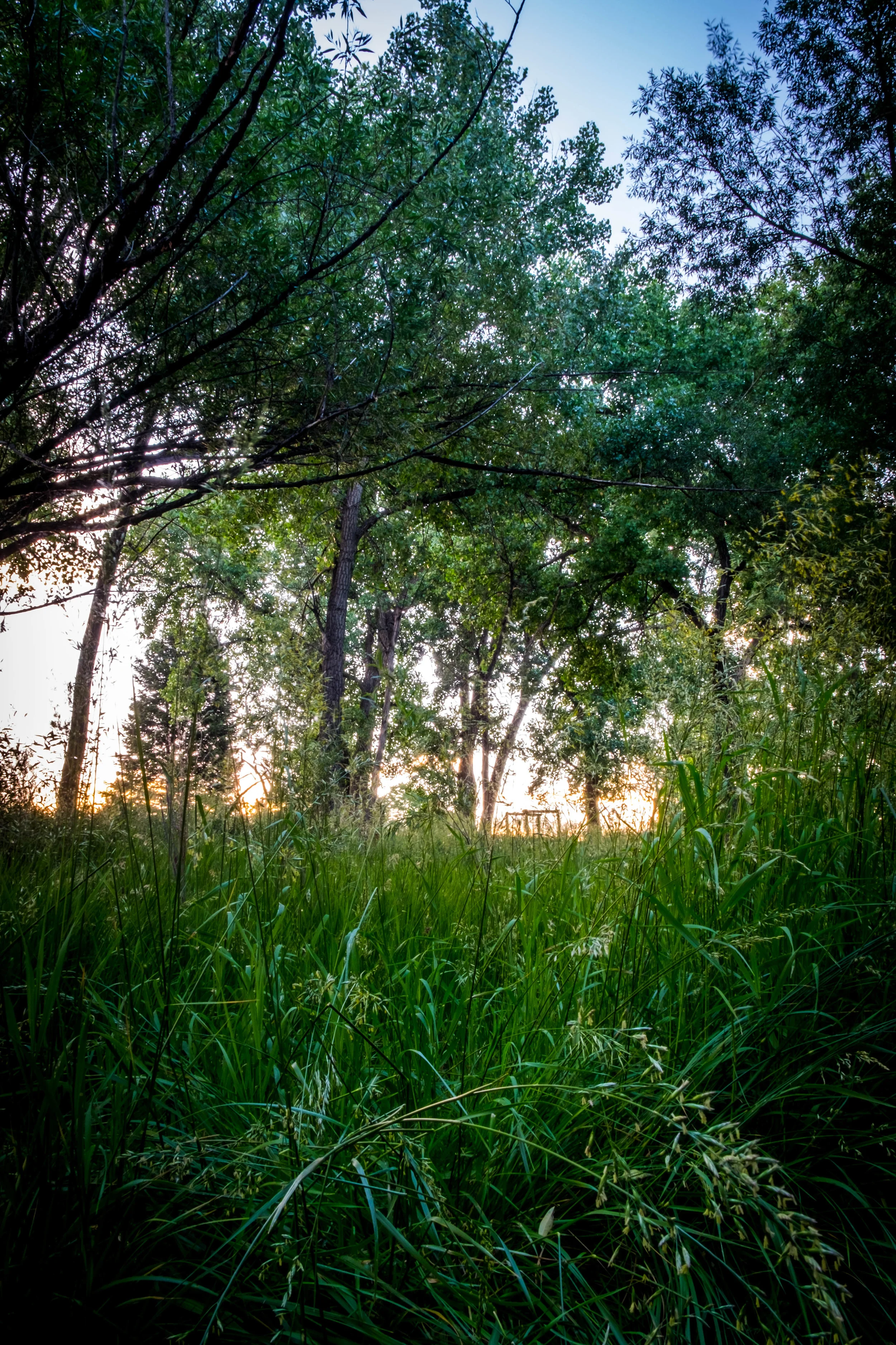 Over the Hill.