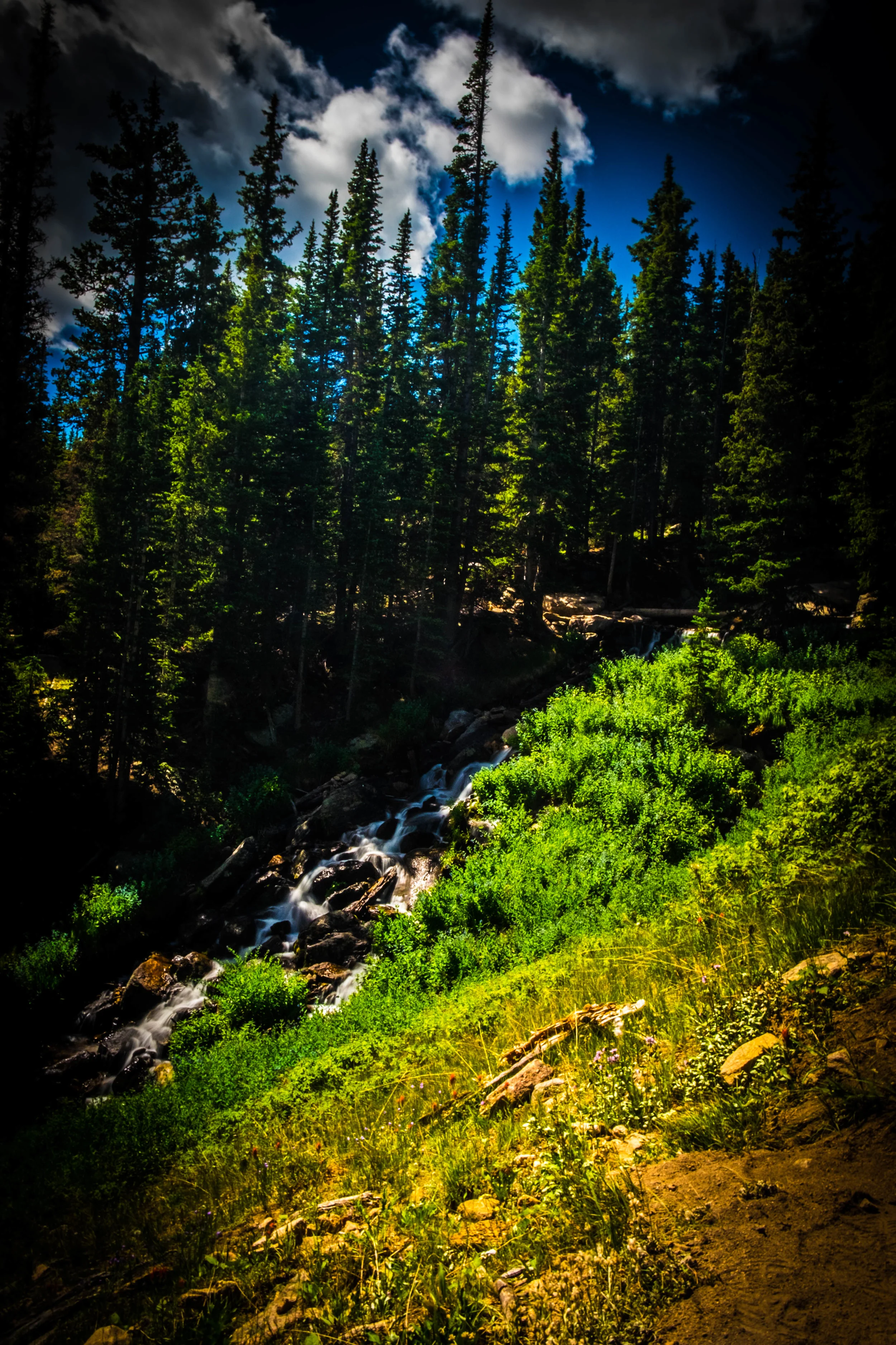 Longs Peak Pass.- Psalm 65:13
