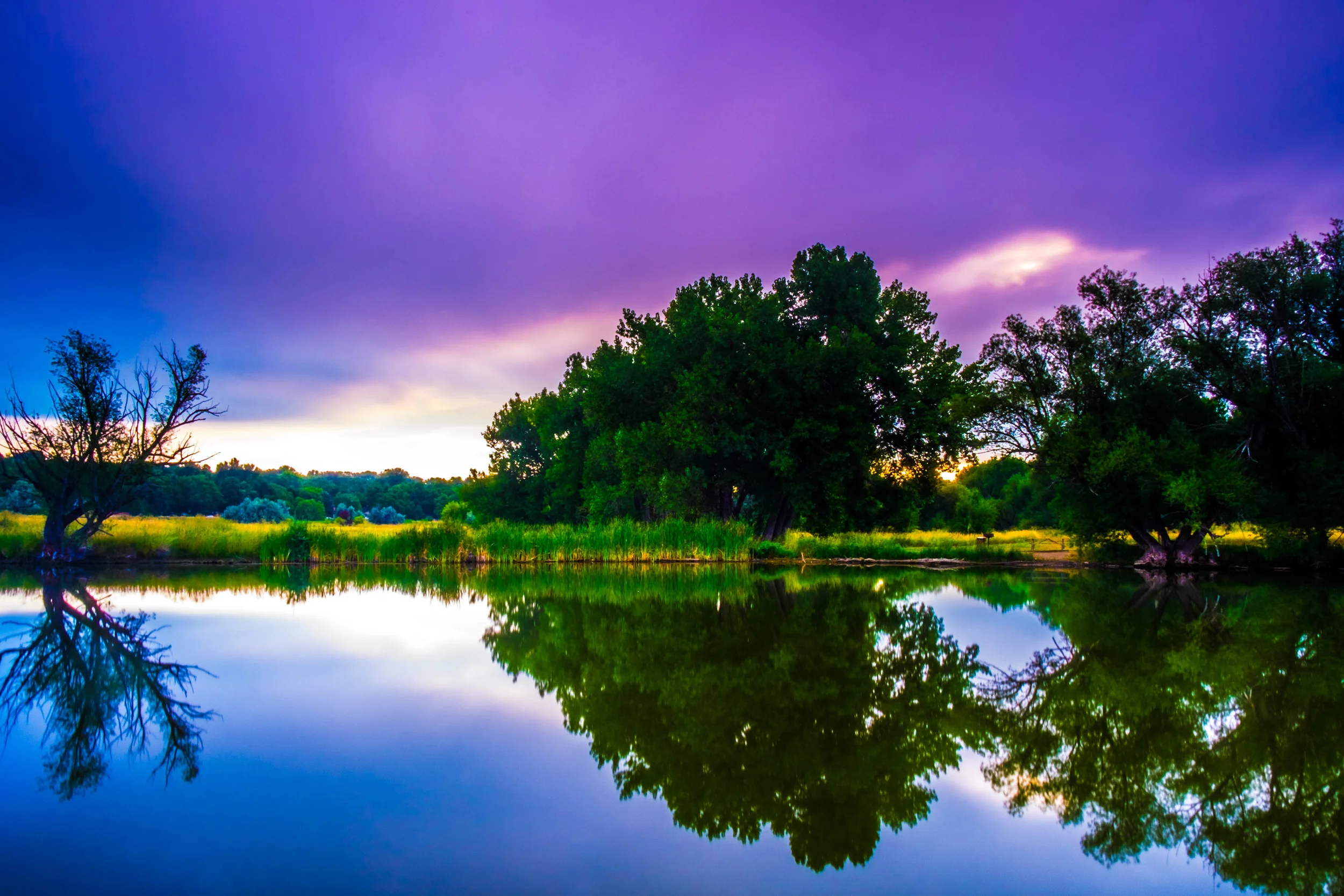 Faithful Servant. - Mark 10:45