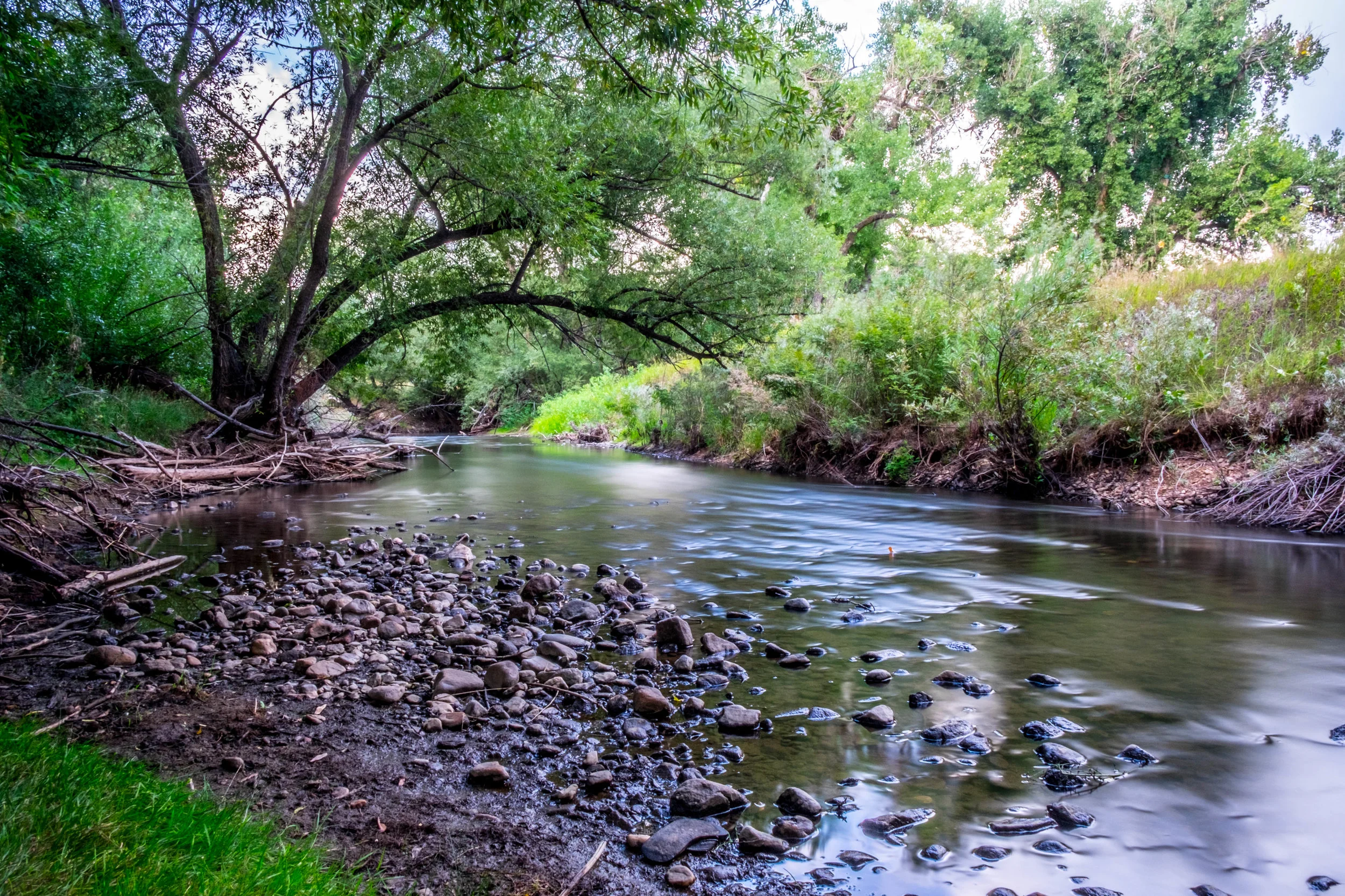 Went for a walk. - Hebrews 11:1-40