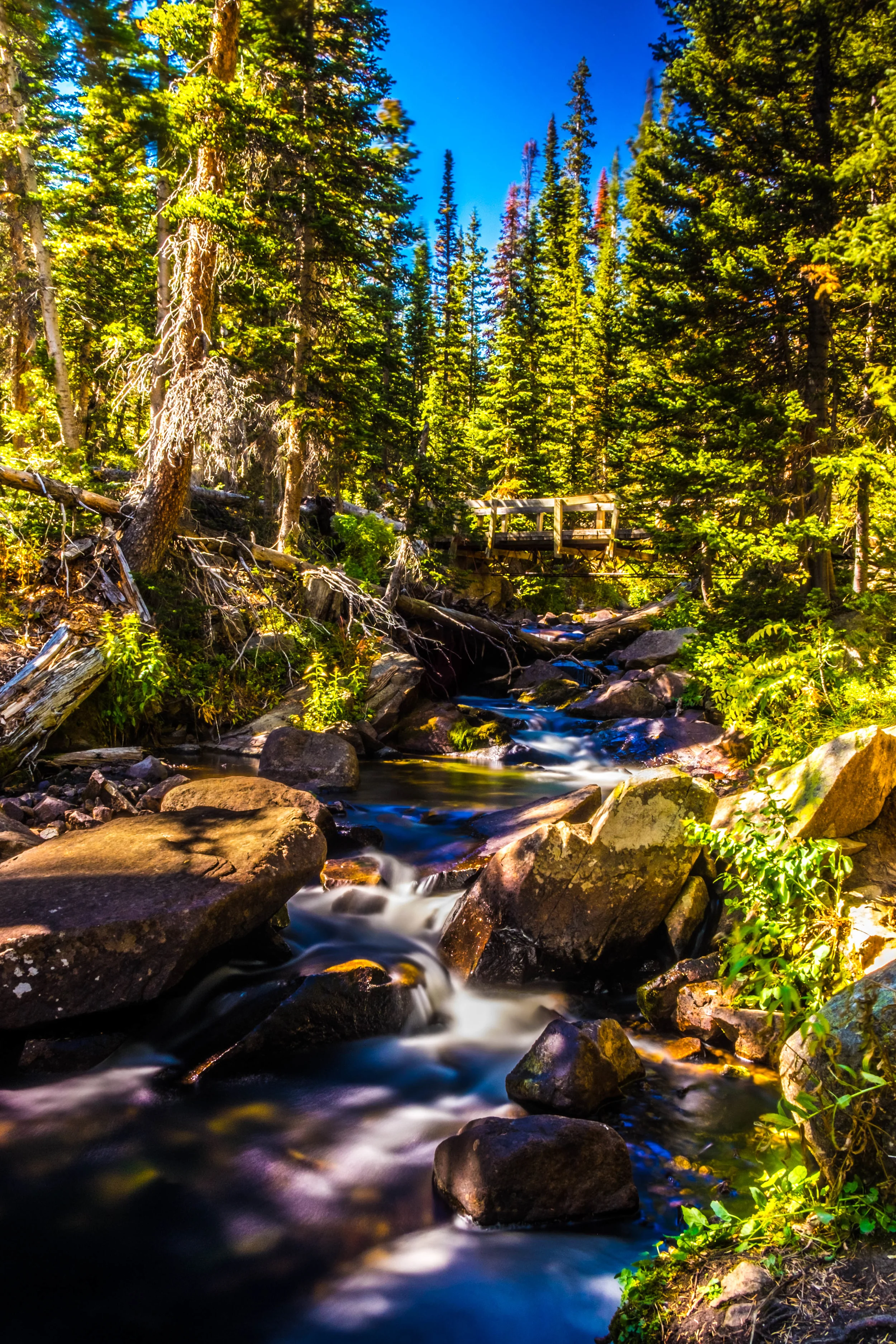Hope's River. - Psalm 119:49-50