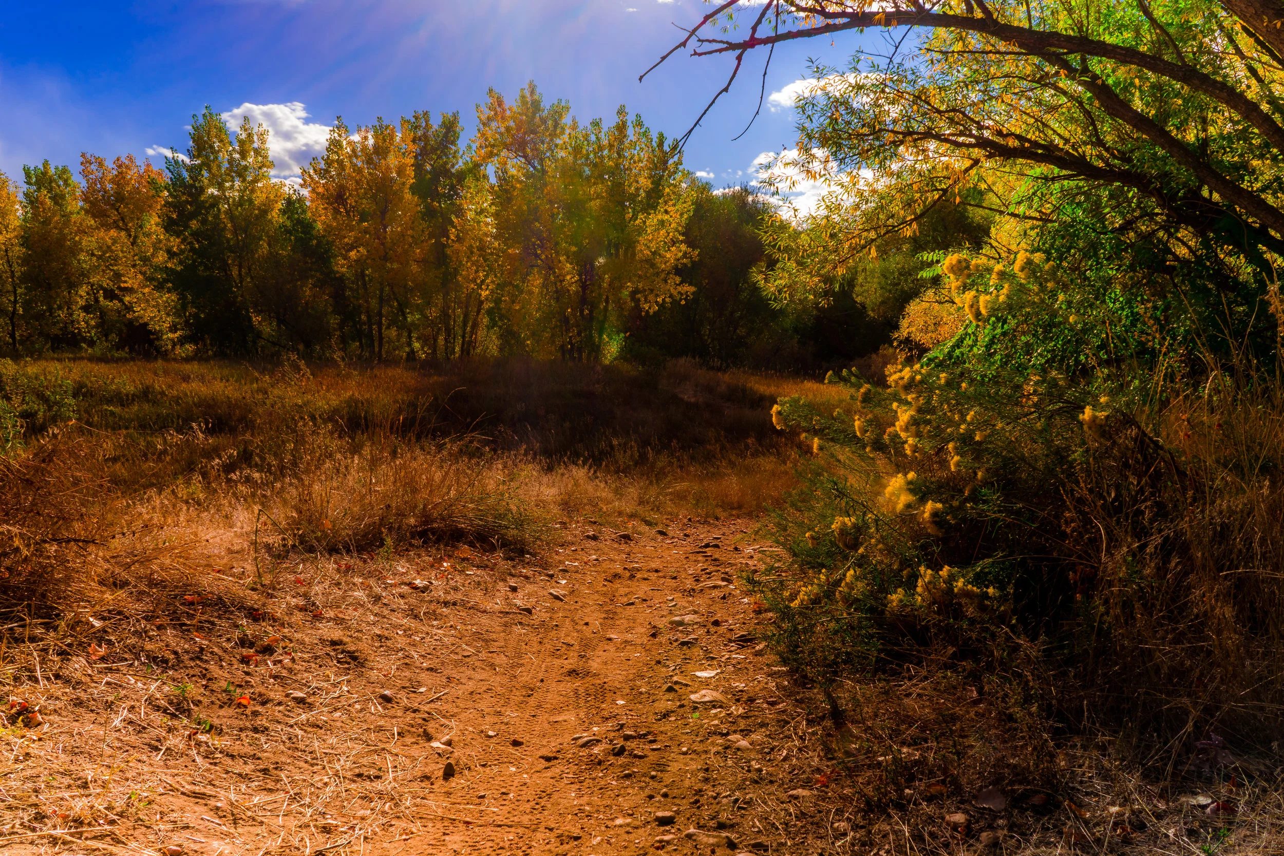 Stone House Trail. - Ecclesiastes 3:1
