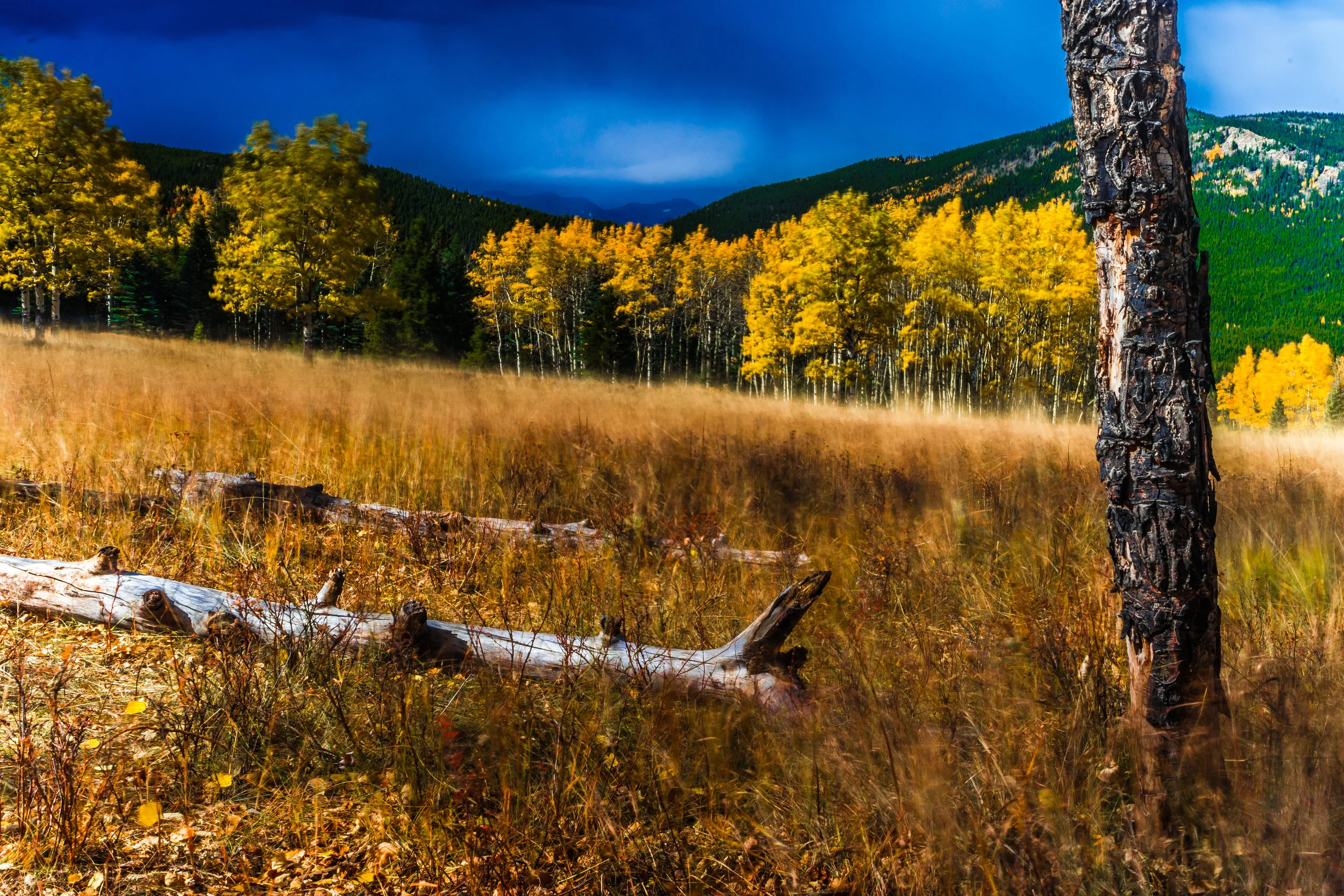 Wisdom. - Psalm 2:10-12