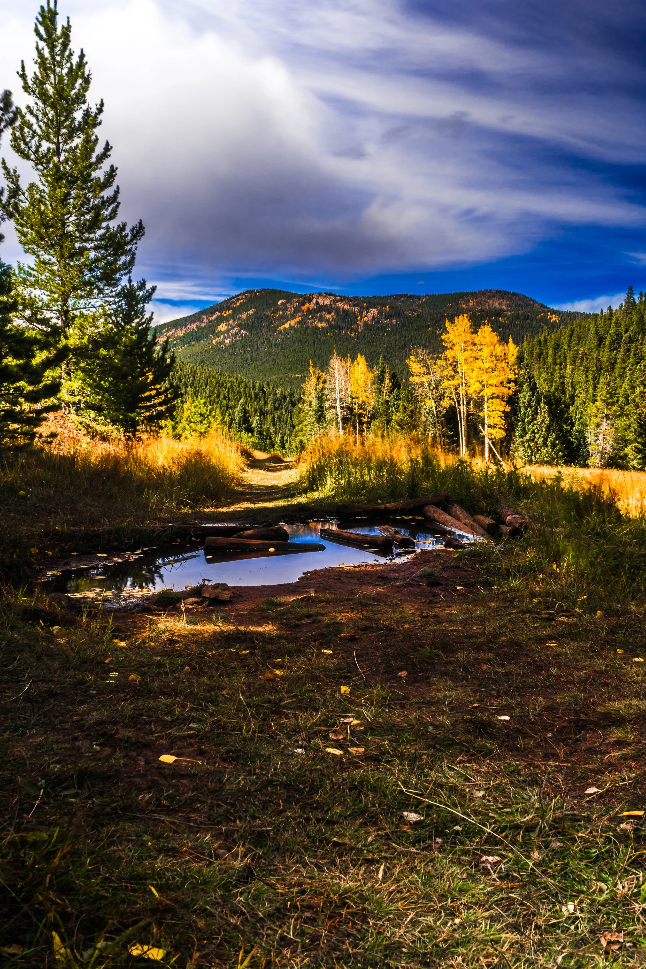 In a Bind. - Psalm 147:3