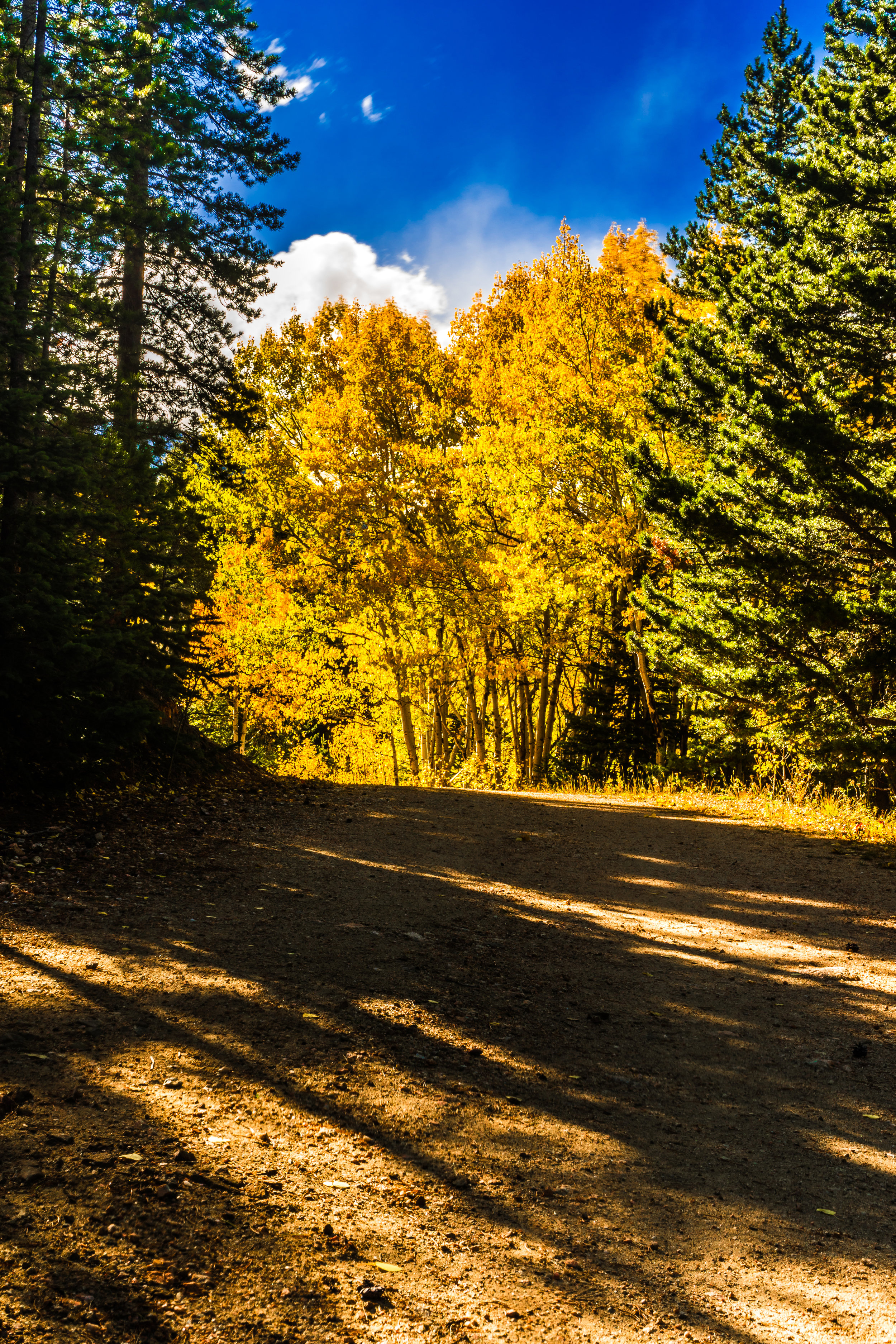 Change. - Jeremiah 29:11