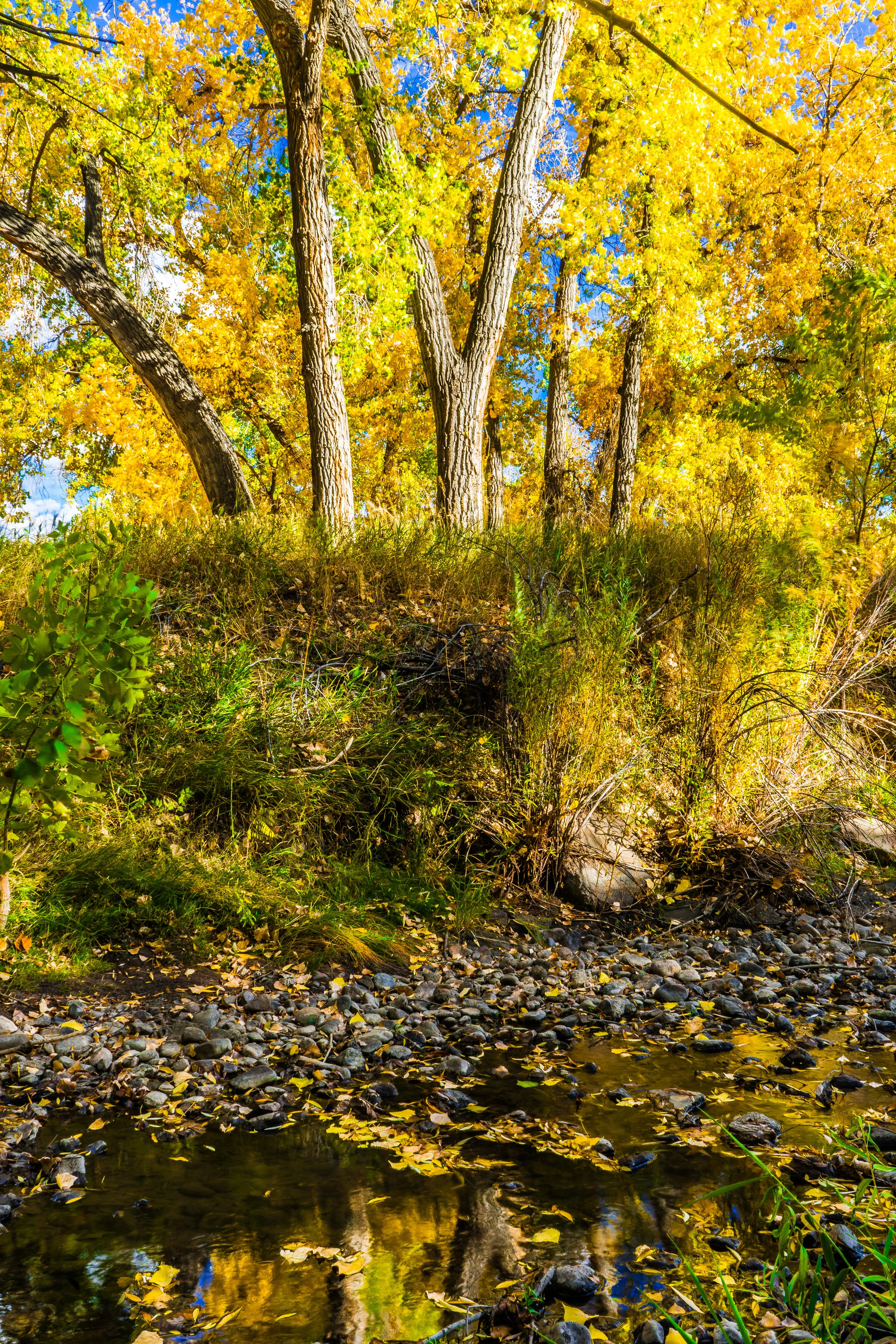 Be blessed to bless others. -Deuteronomy 24:19