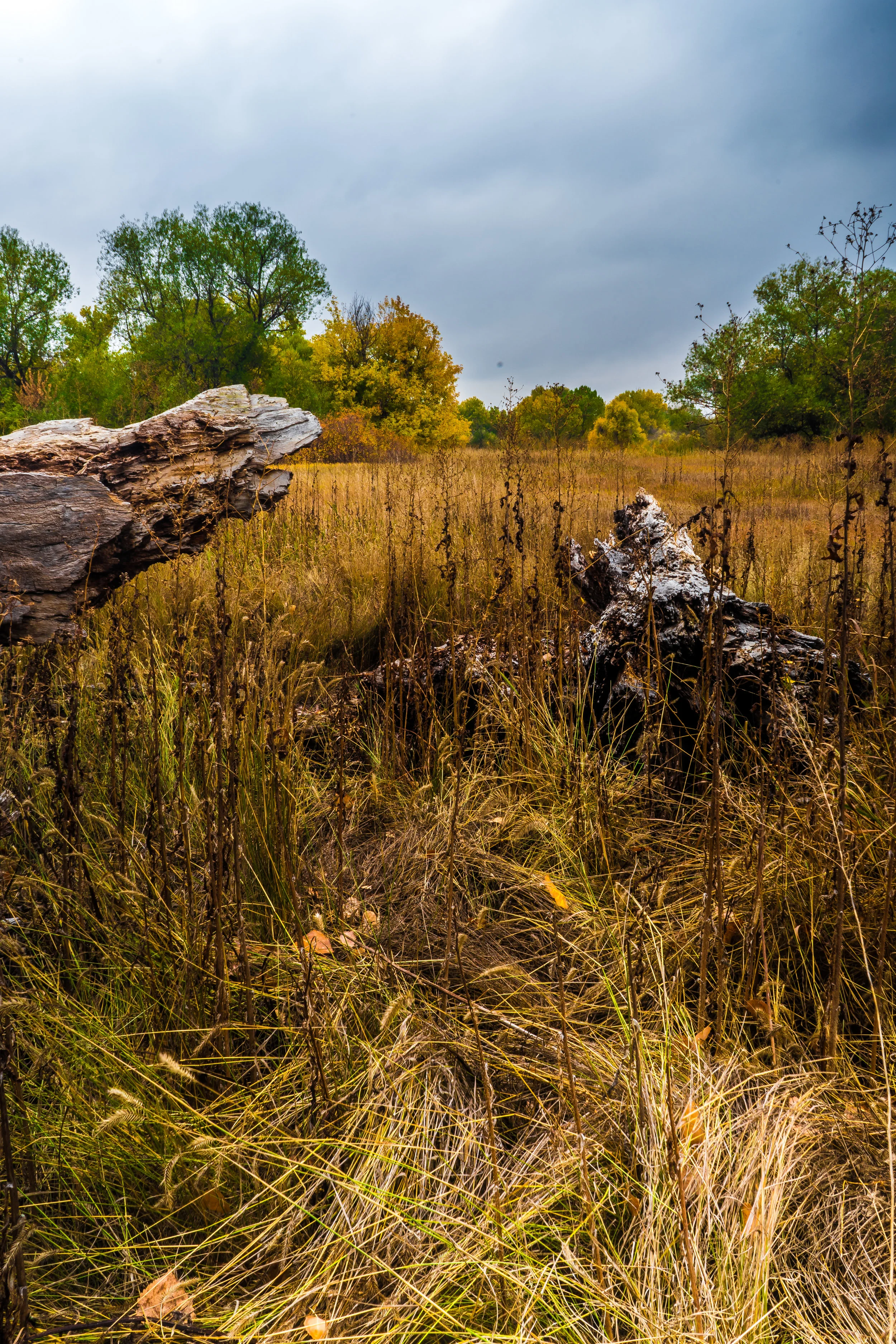 Open Space. - Psalm 18:19