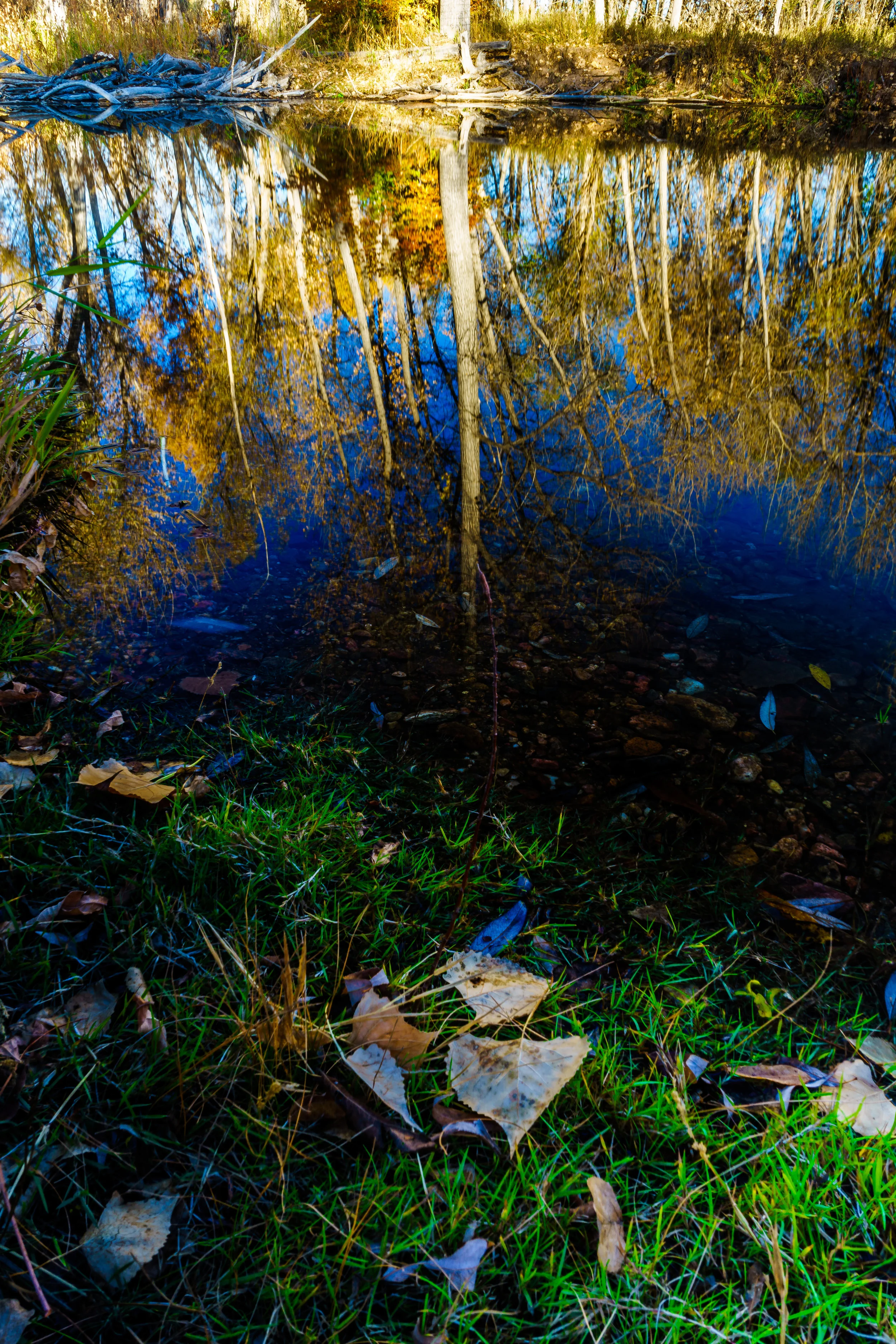 Protection. - Proverbs 18:10