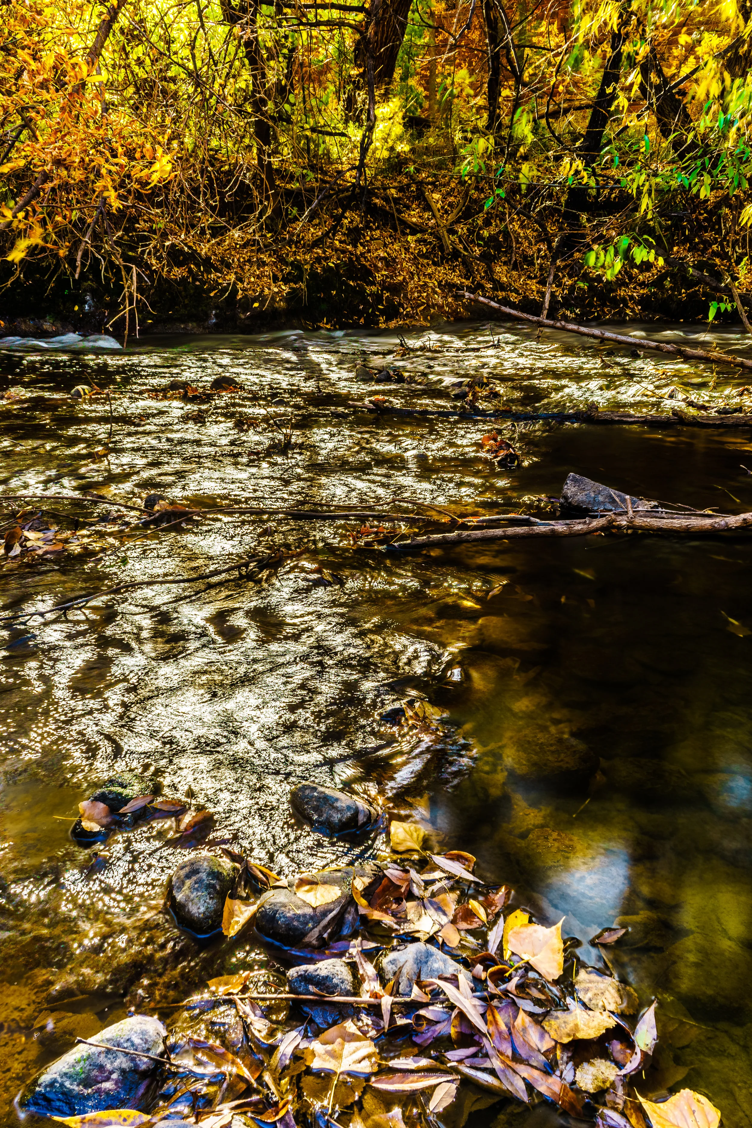 When the light shines. - 2 Corinthians 4:16-18