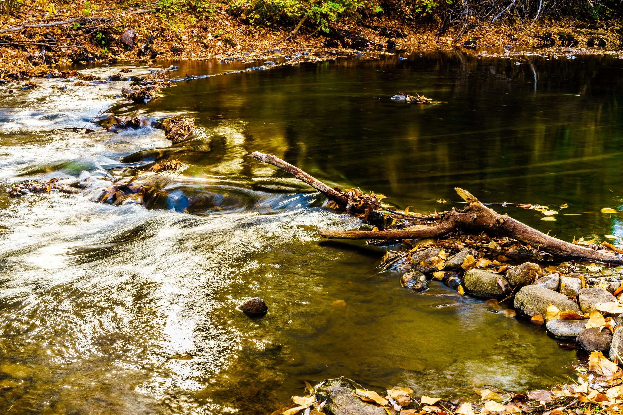 Beyond the obvious. - Luke 12:7