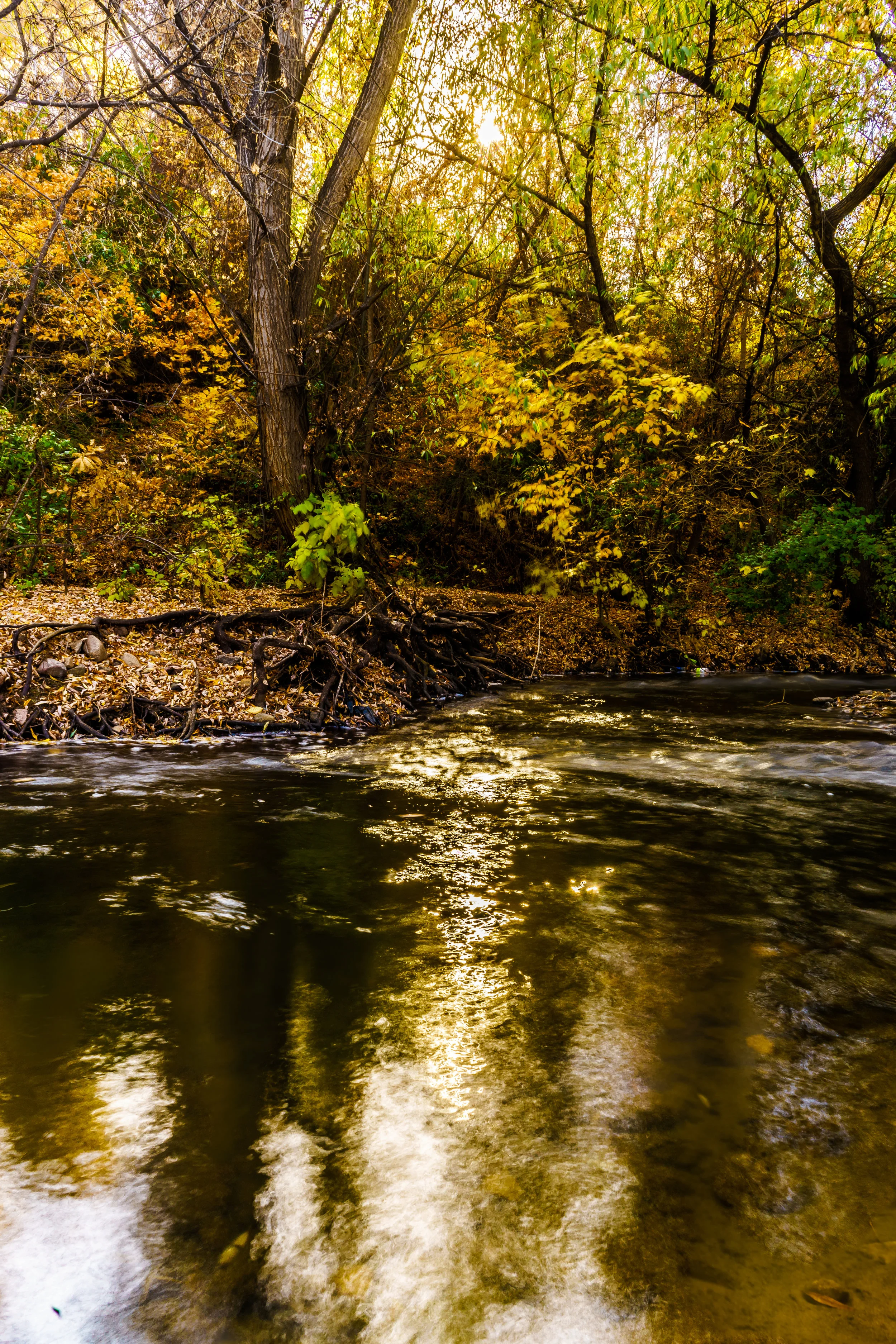 At home in Autumn. - Hosea 6:3 