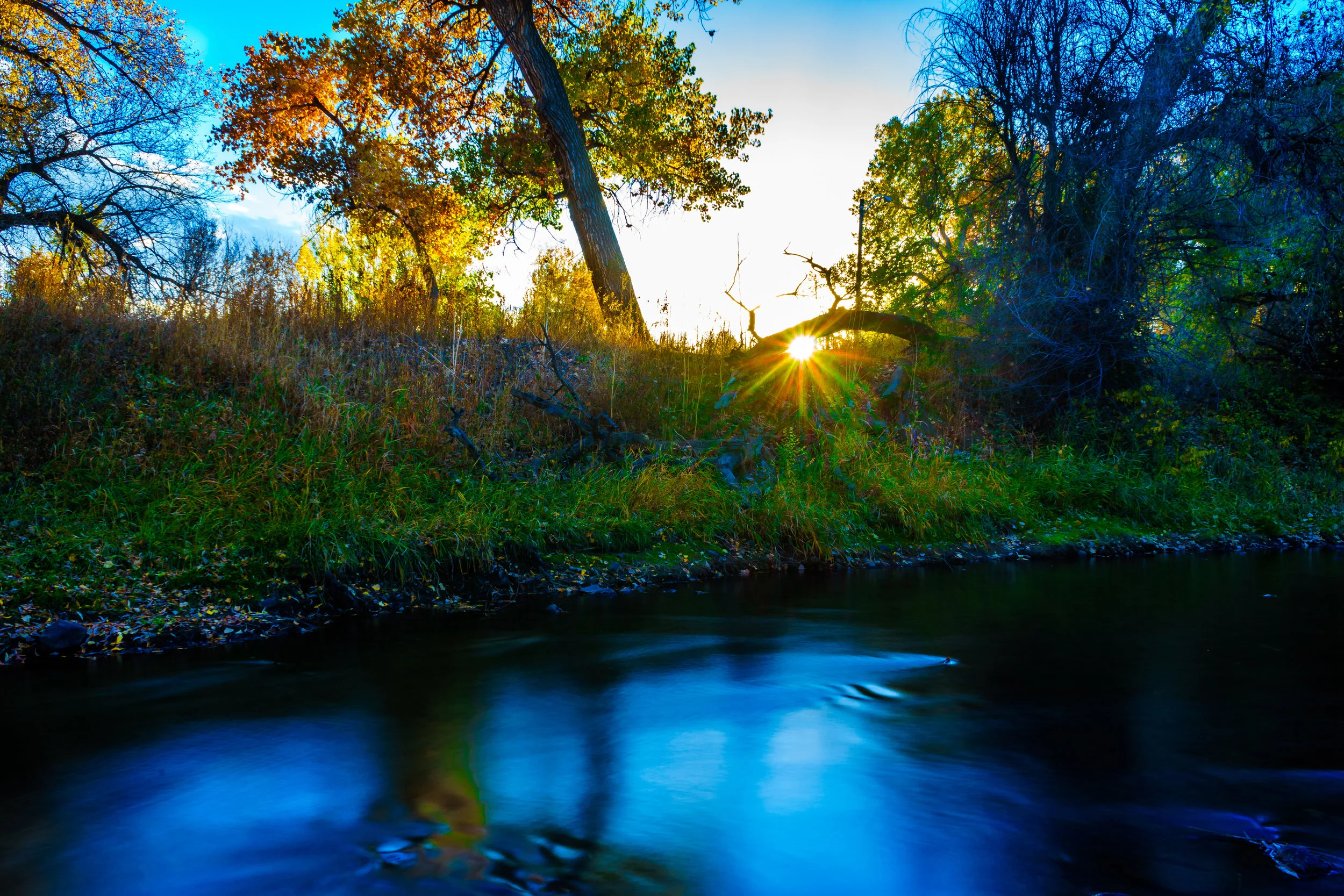 Strong. - Isaiah 40:29-31