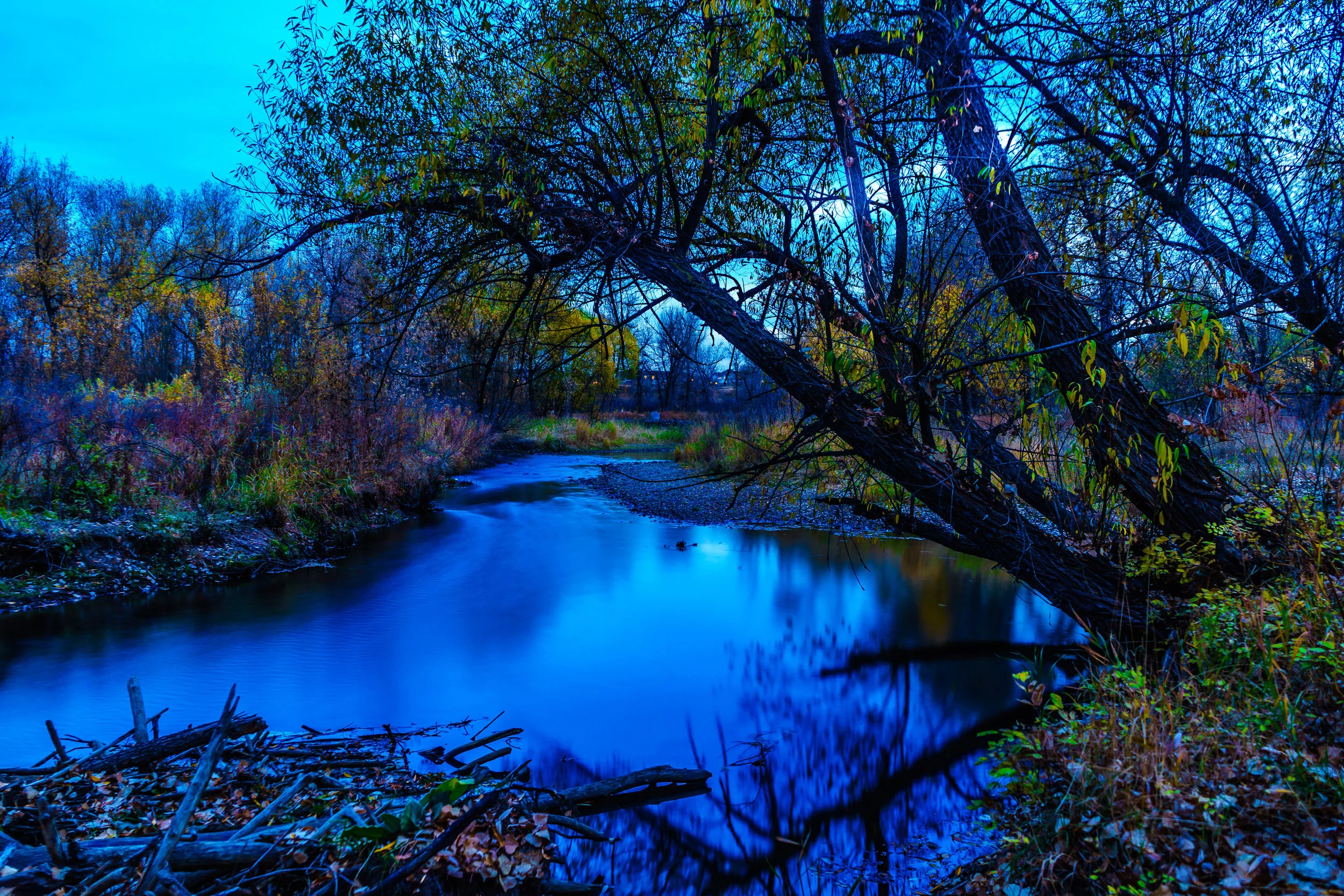 Blue Dusk. - Job 4:20