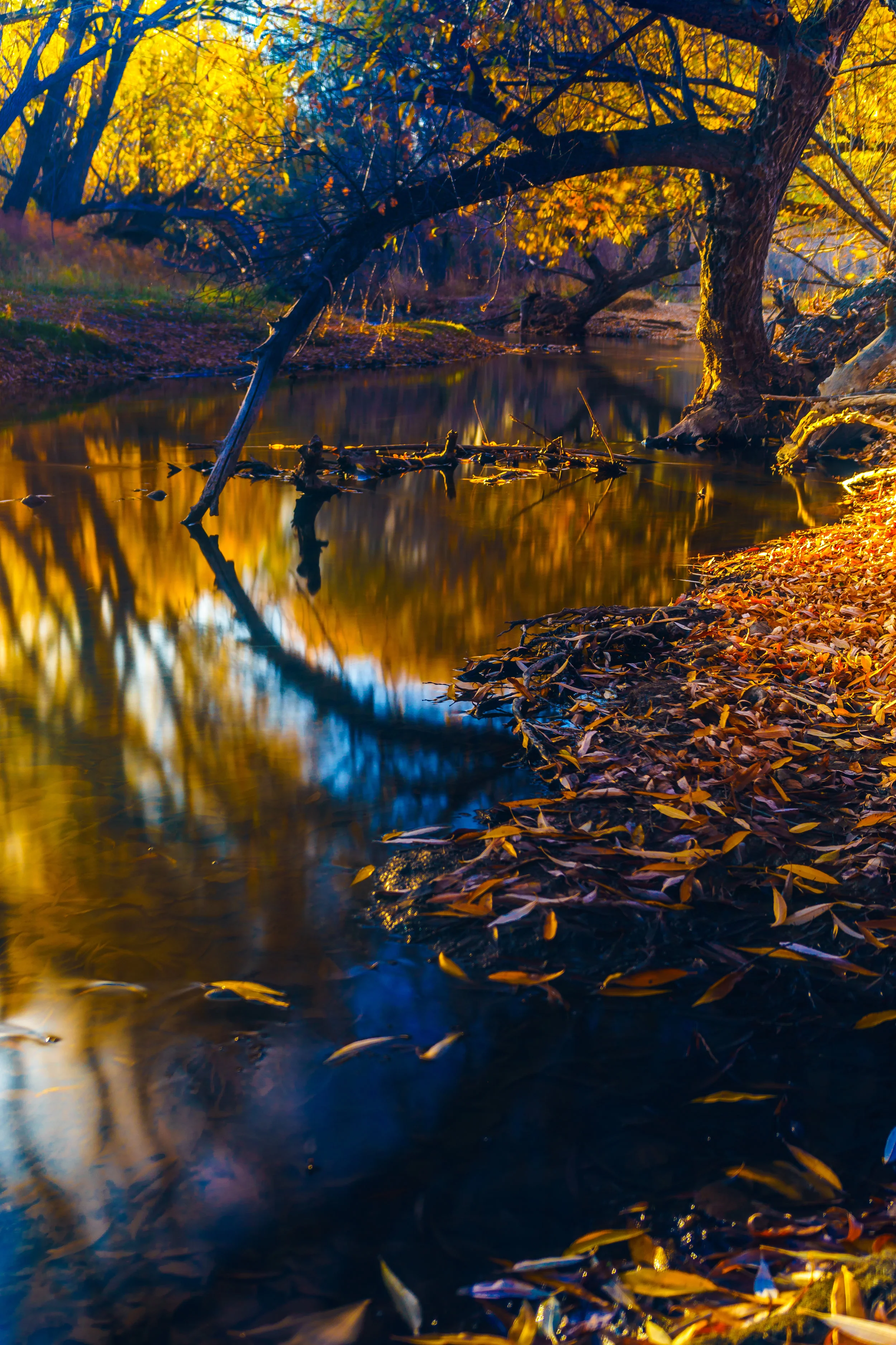 Autumn's End. - 1 John 4:4