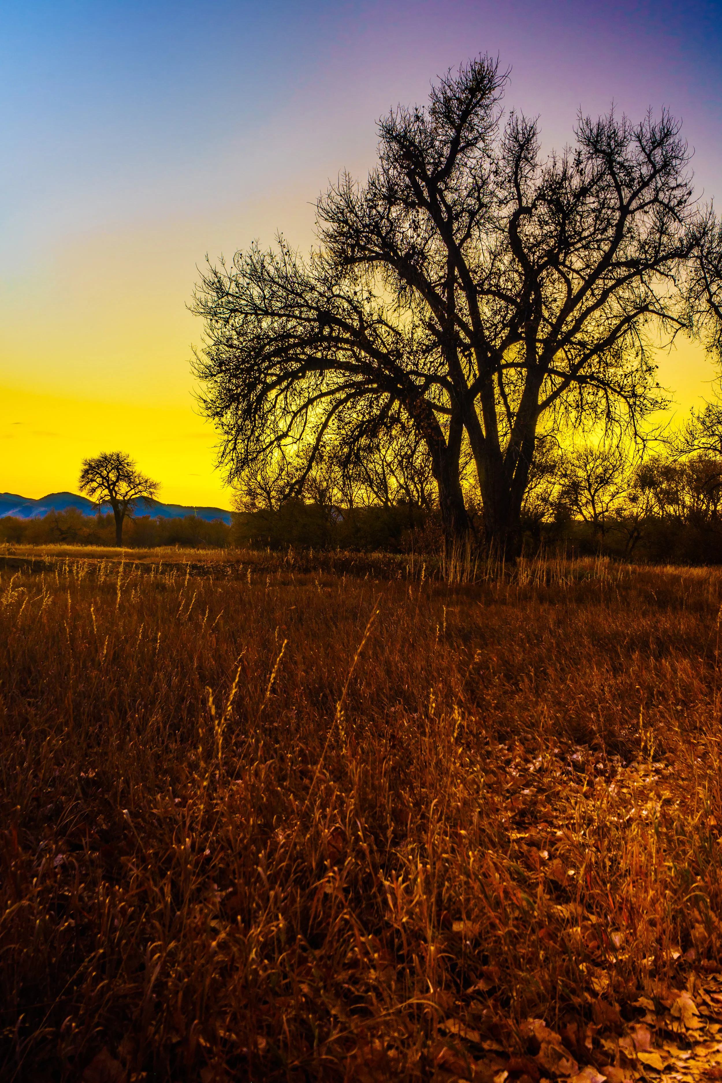 Westward. - Joshua 5:1