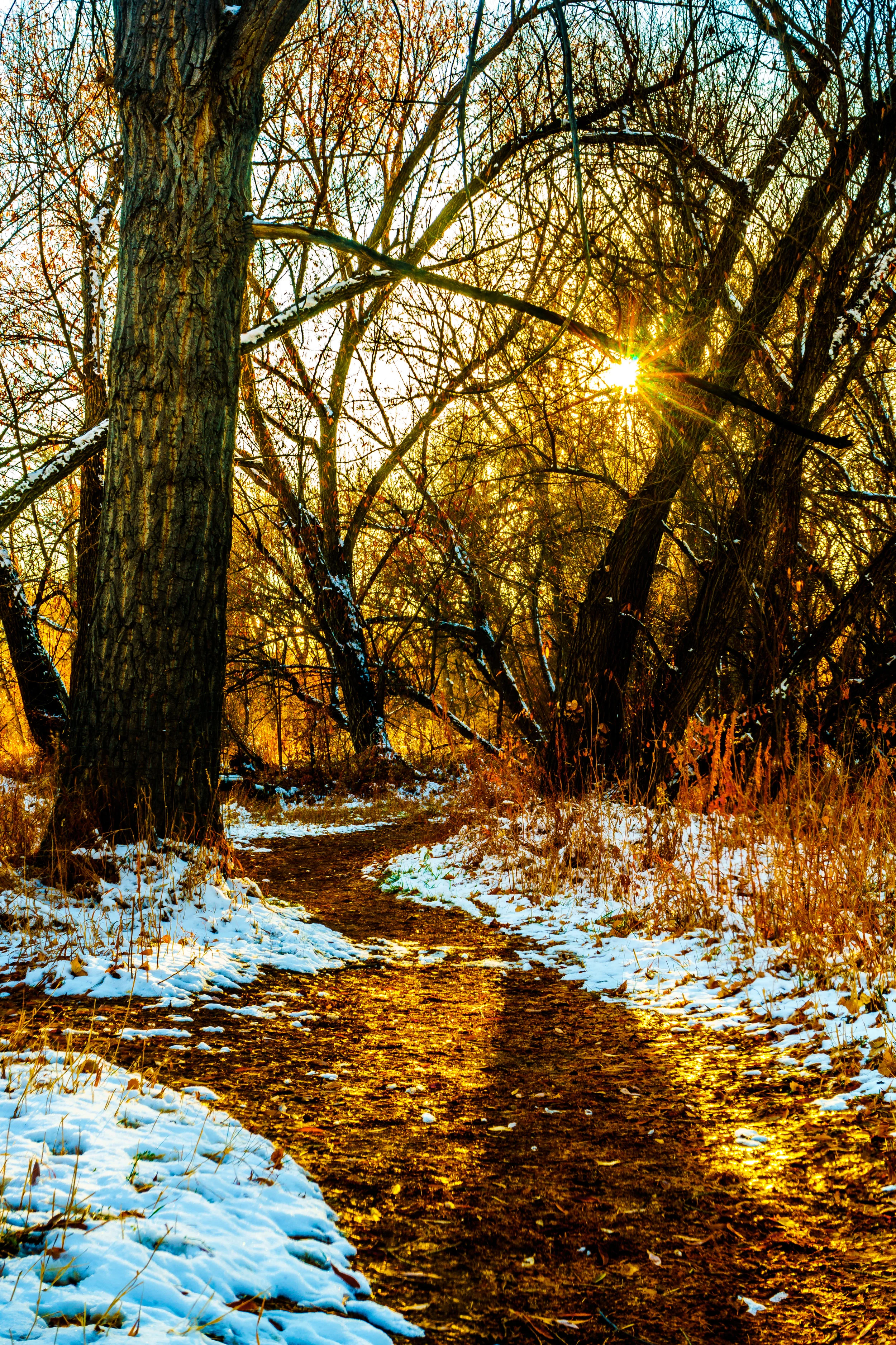 End of the chase. - 1 Peter 2:11