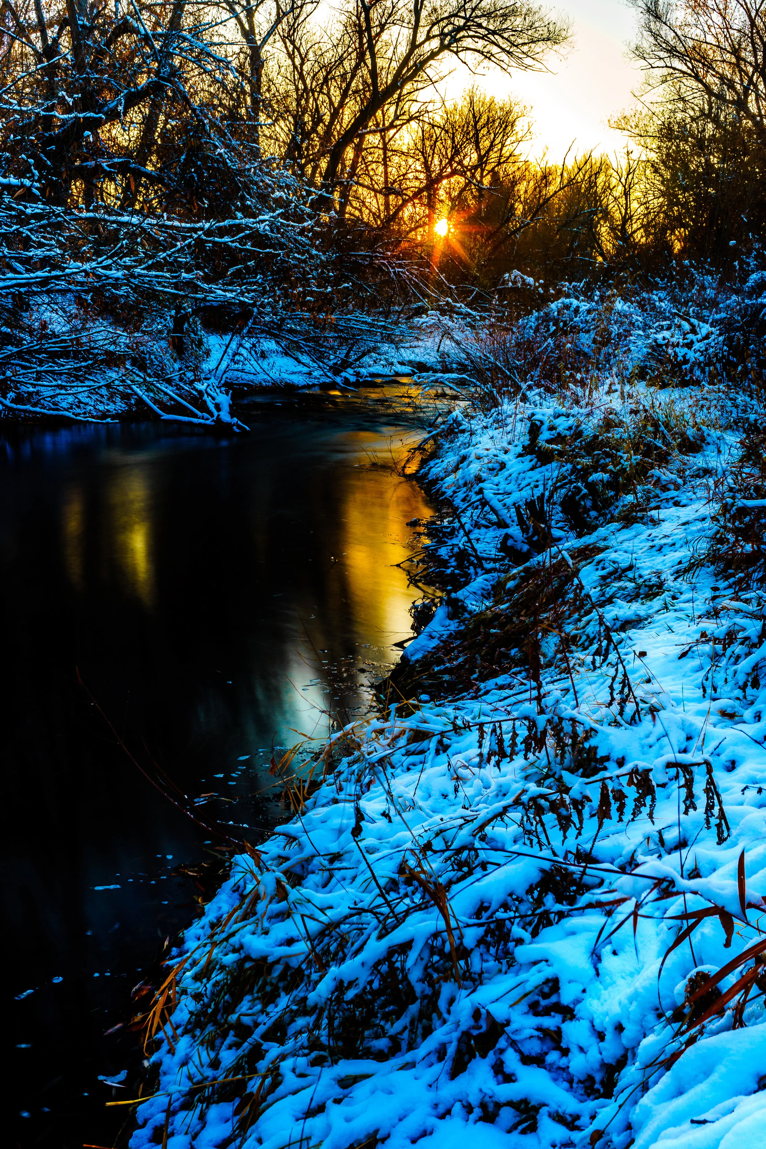 Winter is here, Don't live in fear. - Genesis 8:22