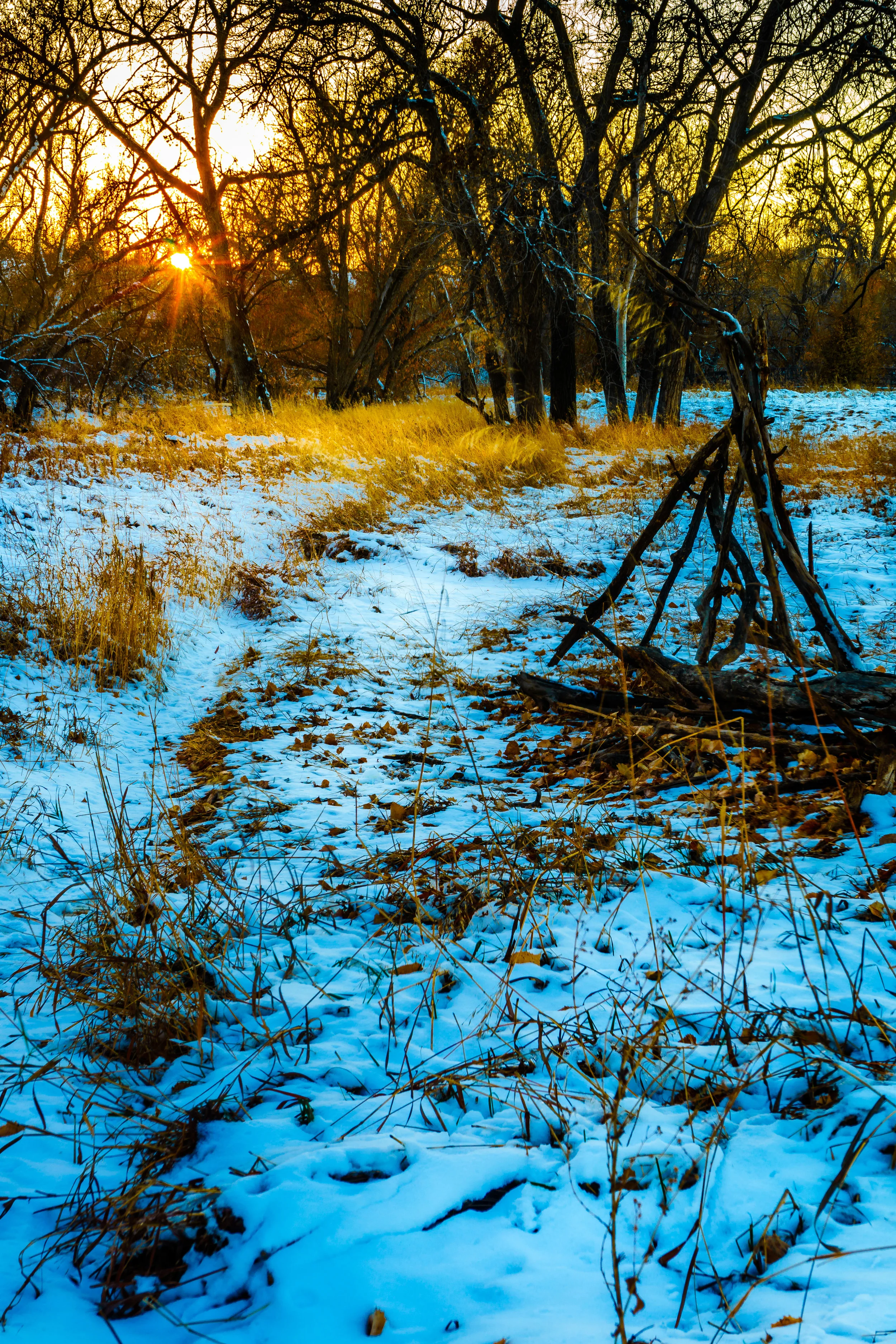 Traditions of men. - Jeremiah 10:3-4