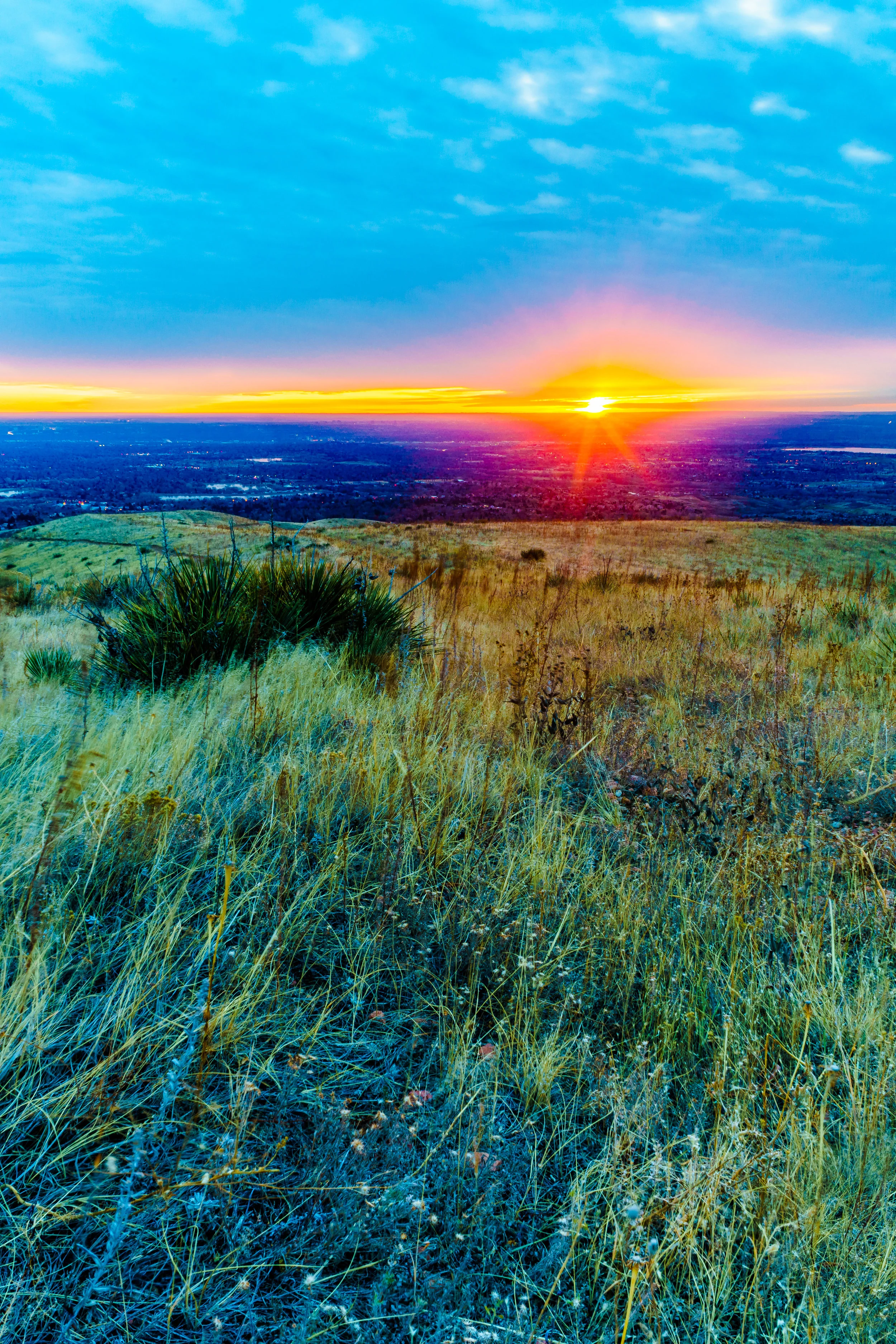 Sunrise.- Psalm 59:16 