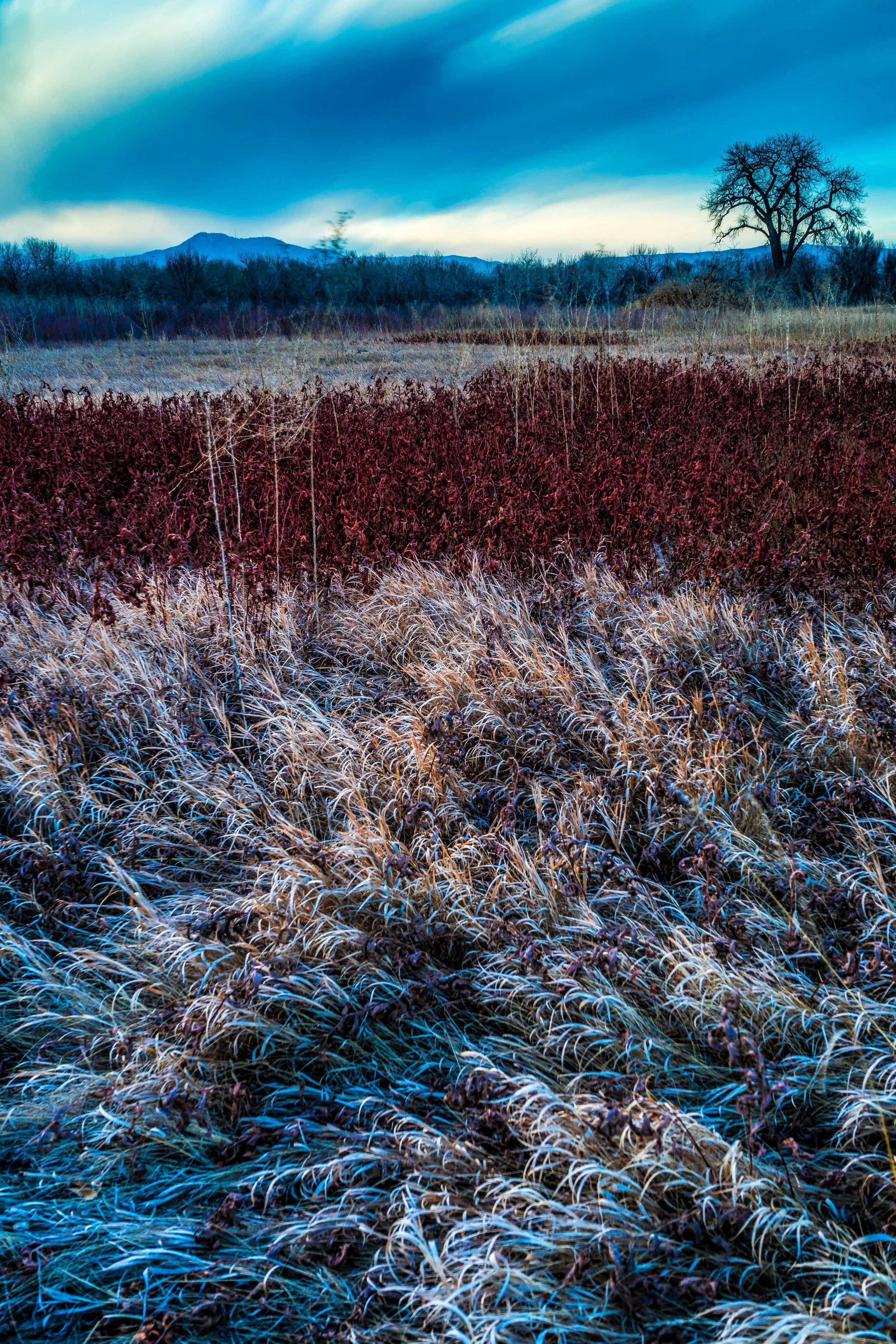 The Calling. - Isaiah 40:3 