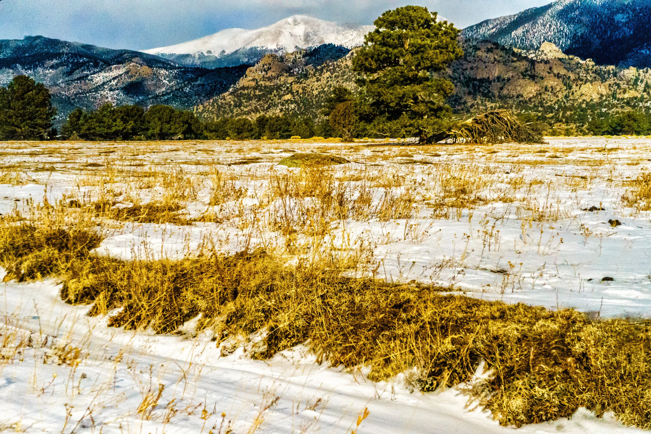 Past Harvest. - Matthew 13:29 