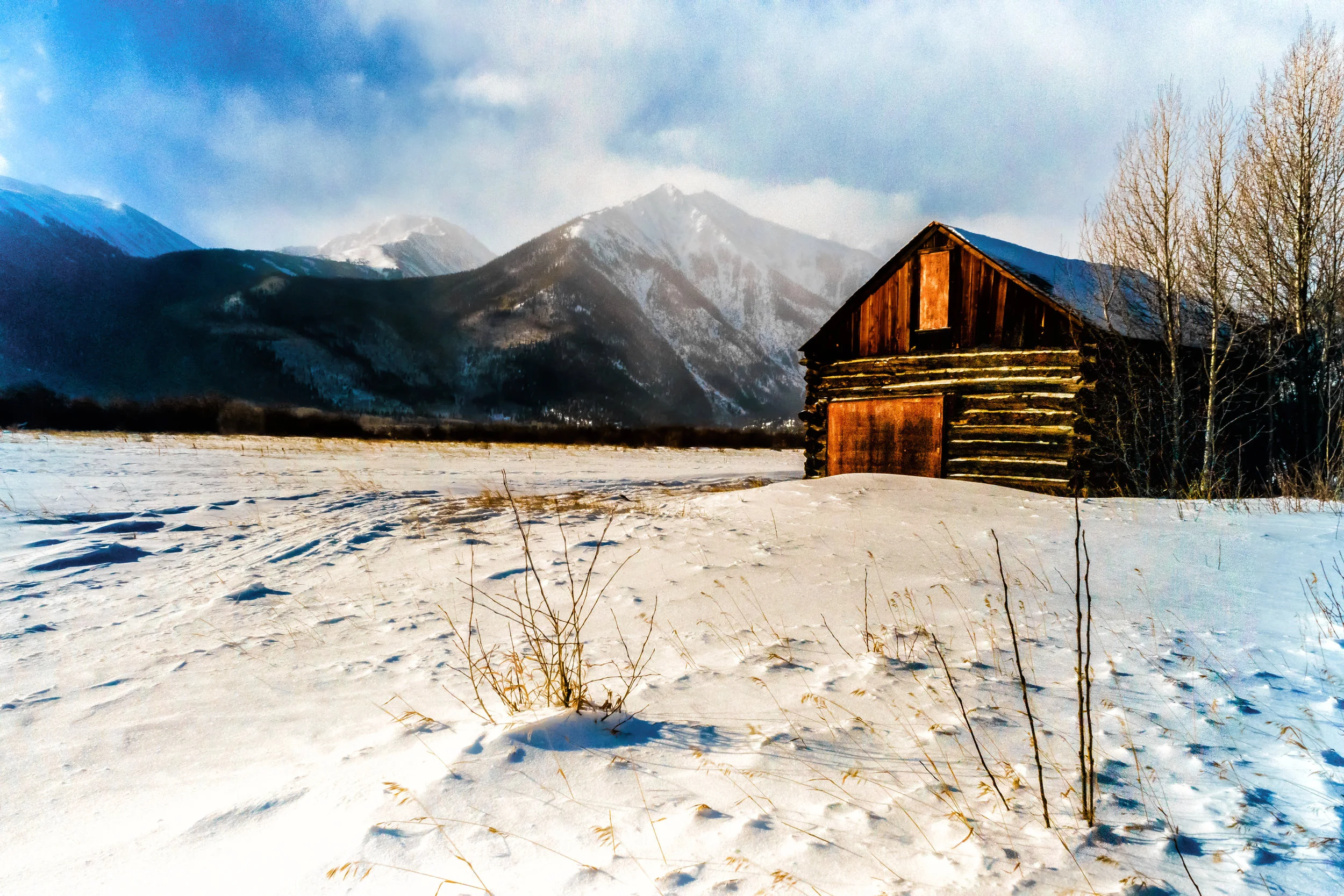 Trust. - Job 39:11-12