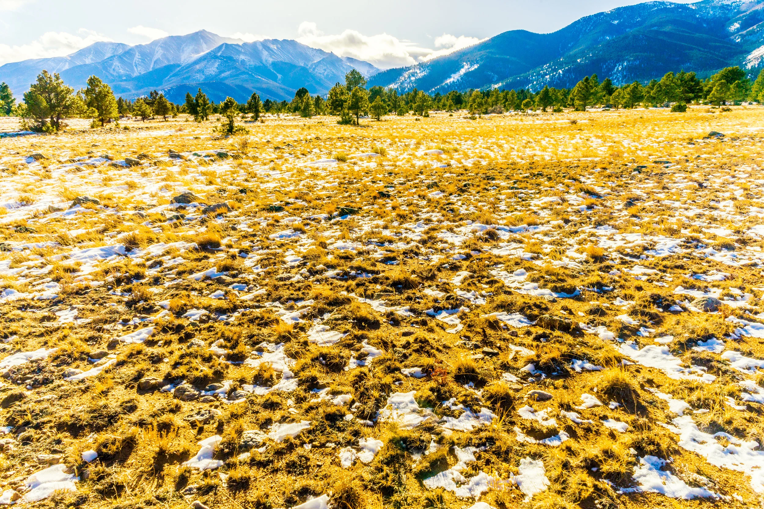 Its a long journey, no body said it was going to be easy. - Psalm 11:5 