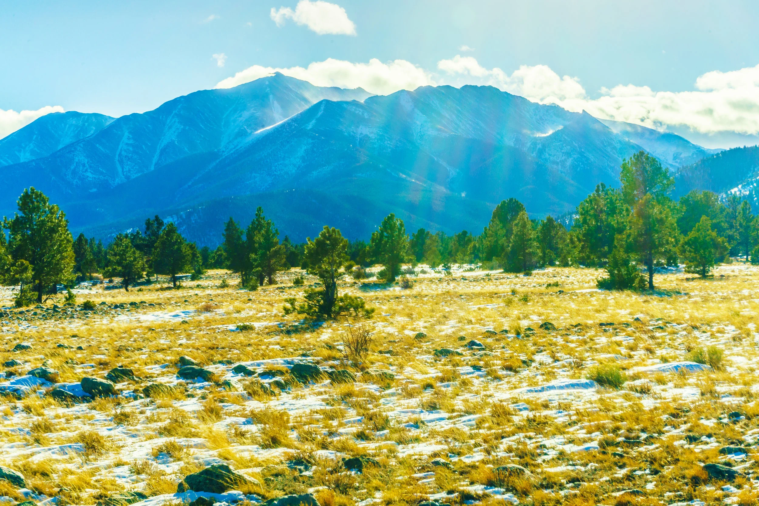 He came for the outcasts. - Psalms 119:141