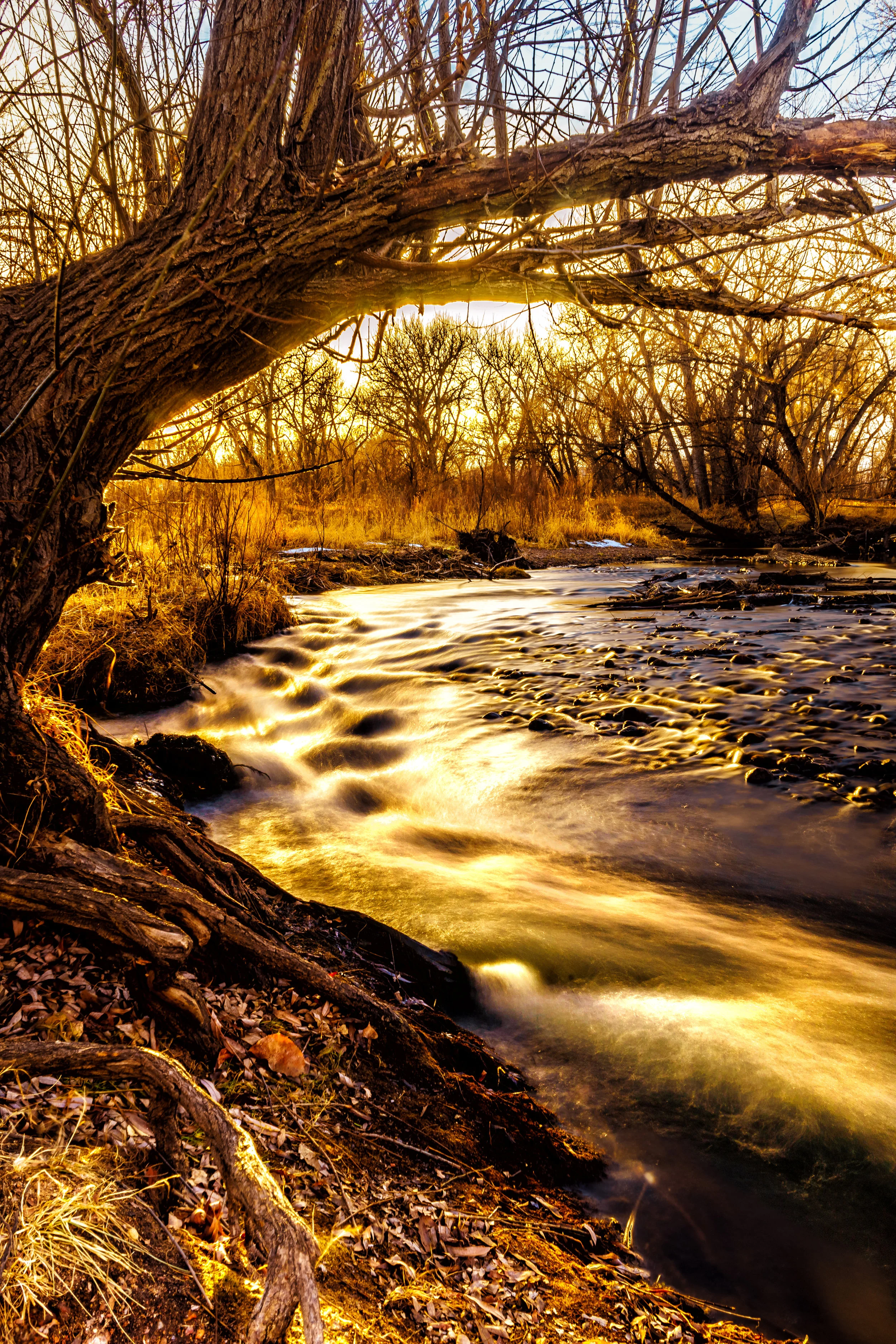 There is hope. - Jeremiah 17:7-8 