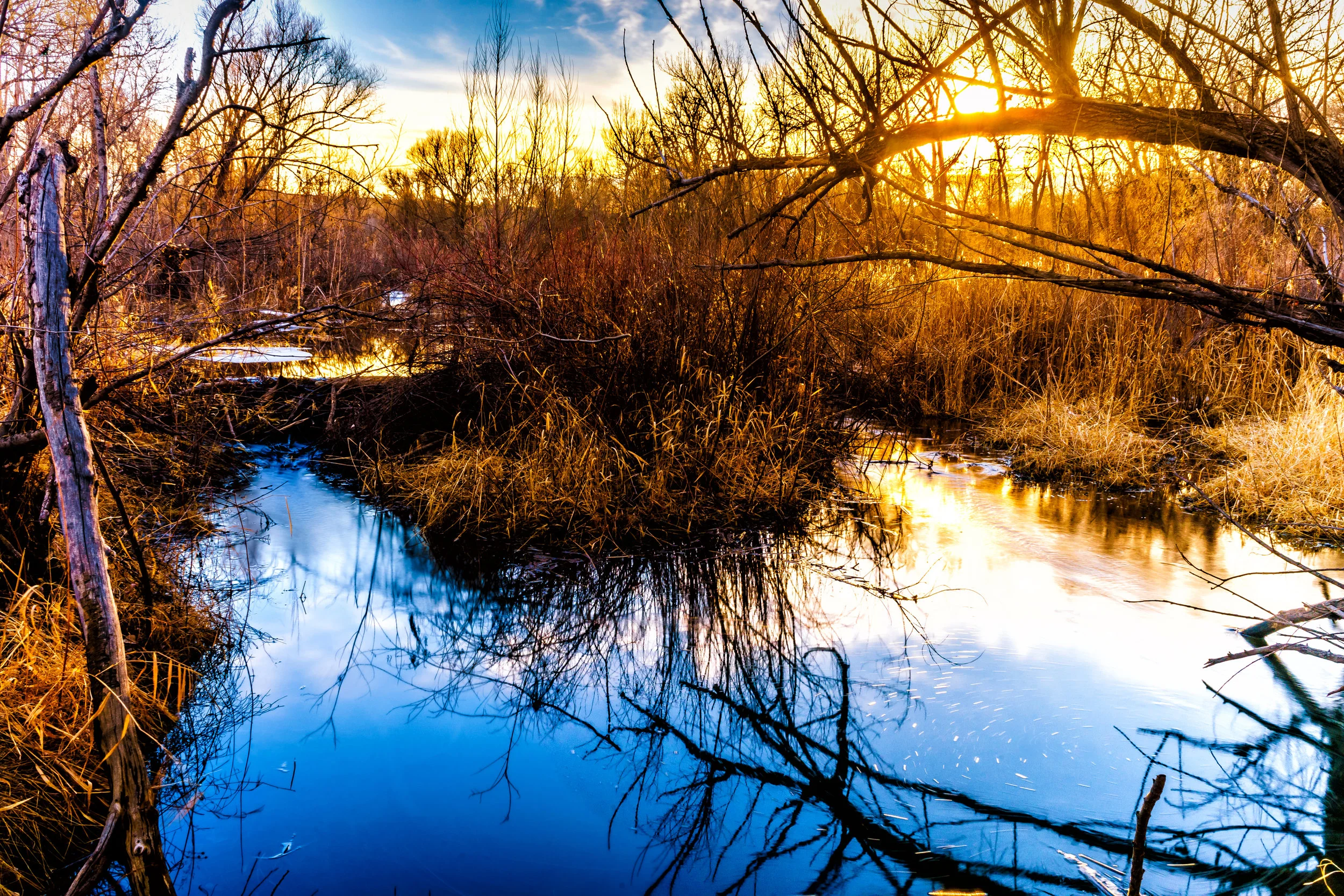 In secret he will hide me. - Psalm 27:1-14 