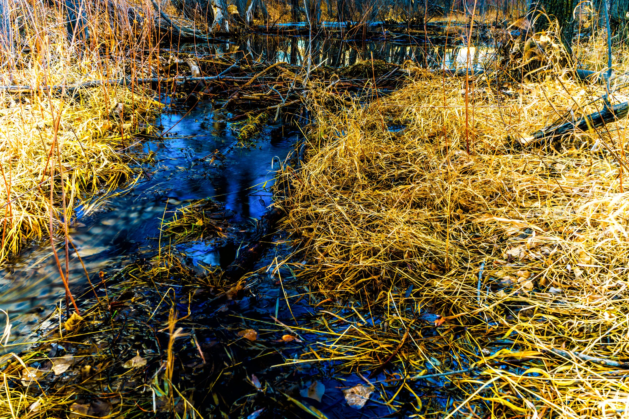 The Start. - Ezekiel 1:1 