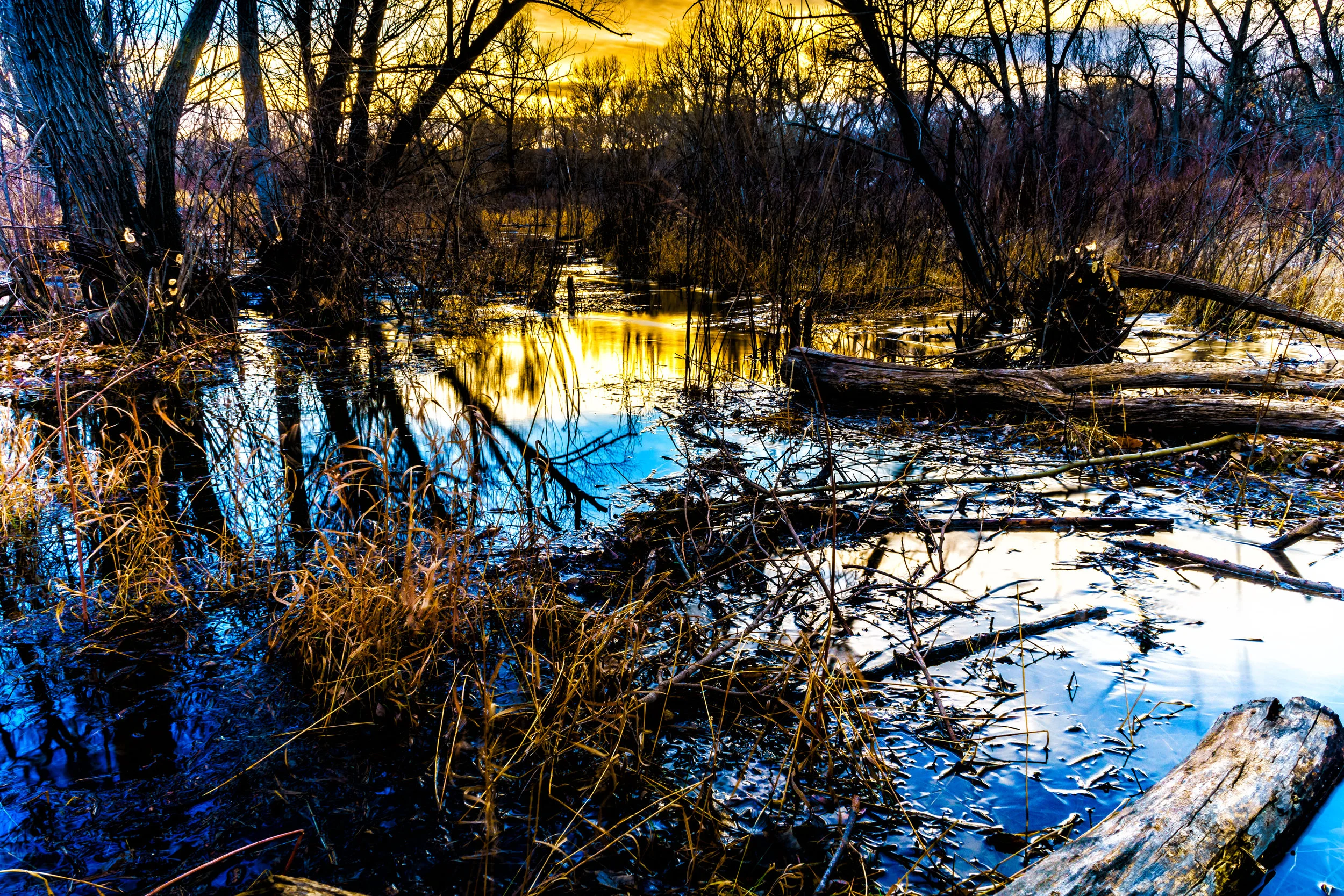 Flooded. - Matthew 24:36-44 