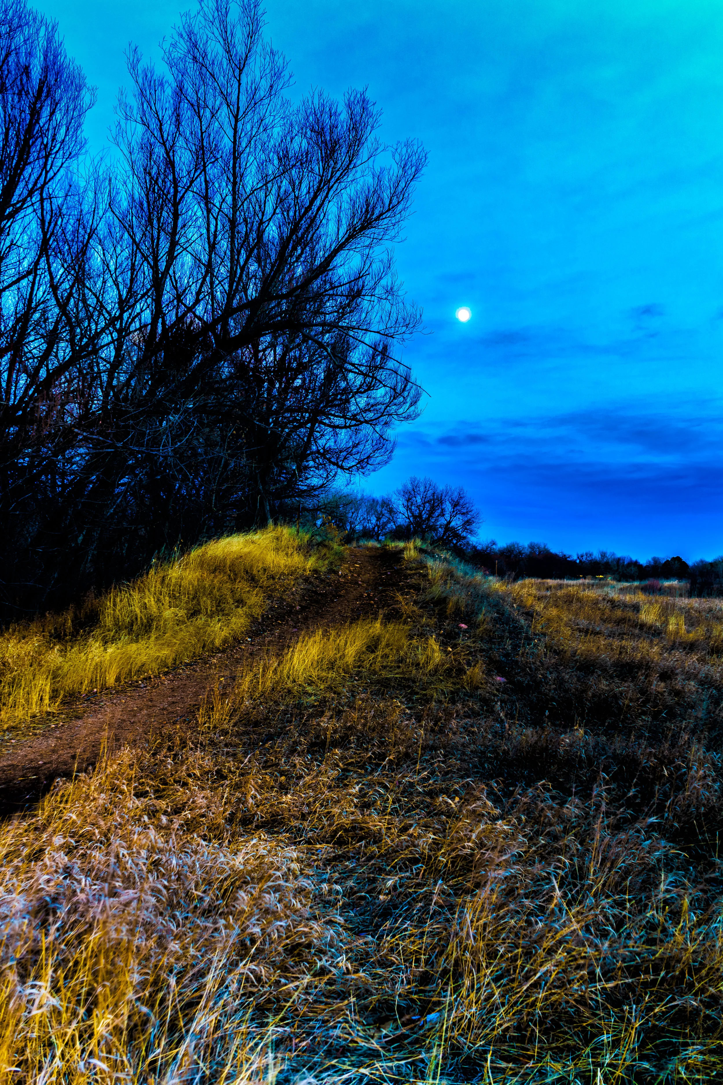 A light unto my path. - Jeremiah 17:14