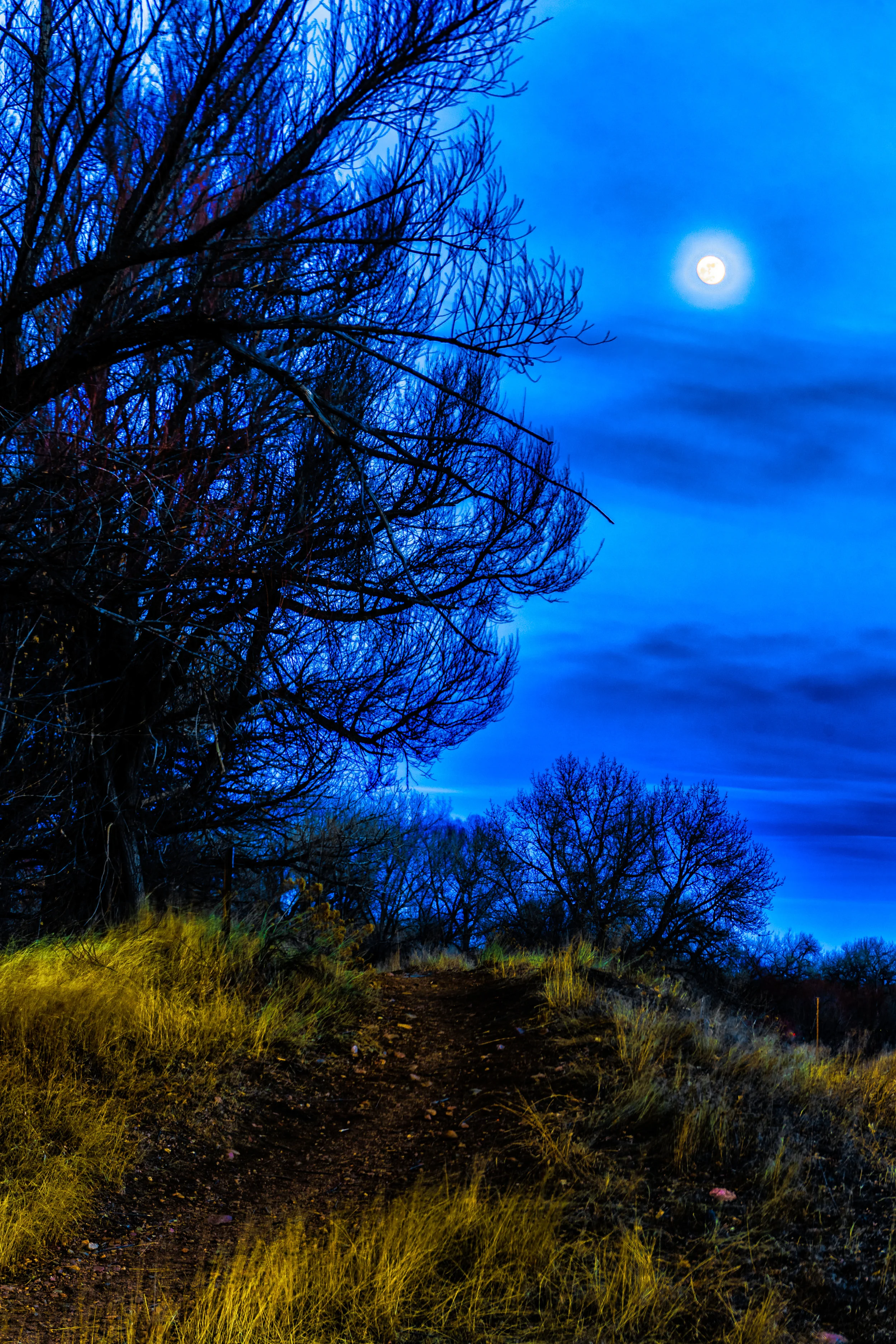 God's nightlight. - James 5:14-16 