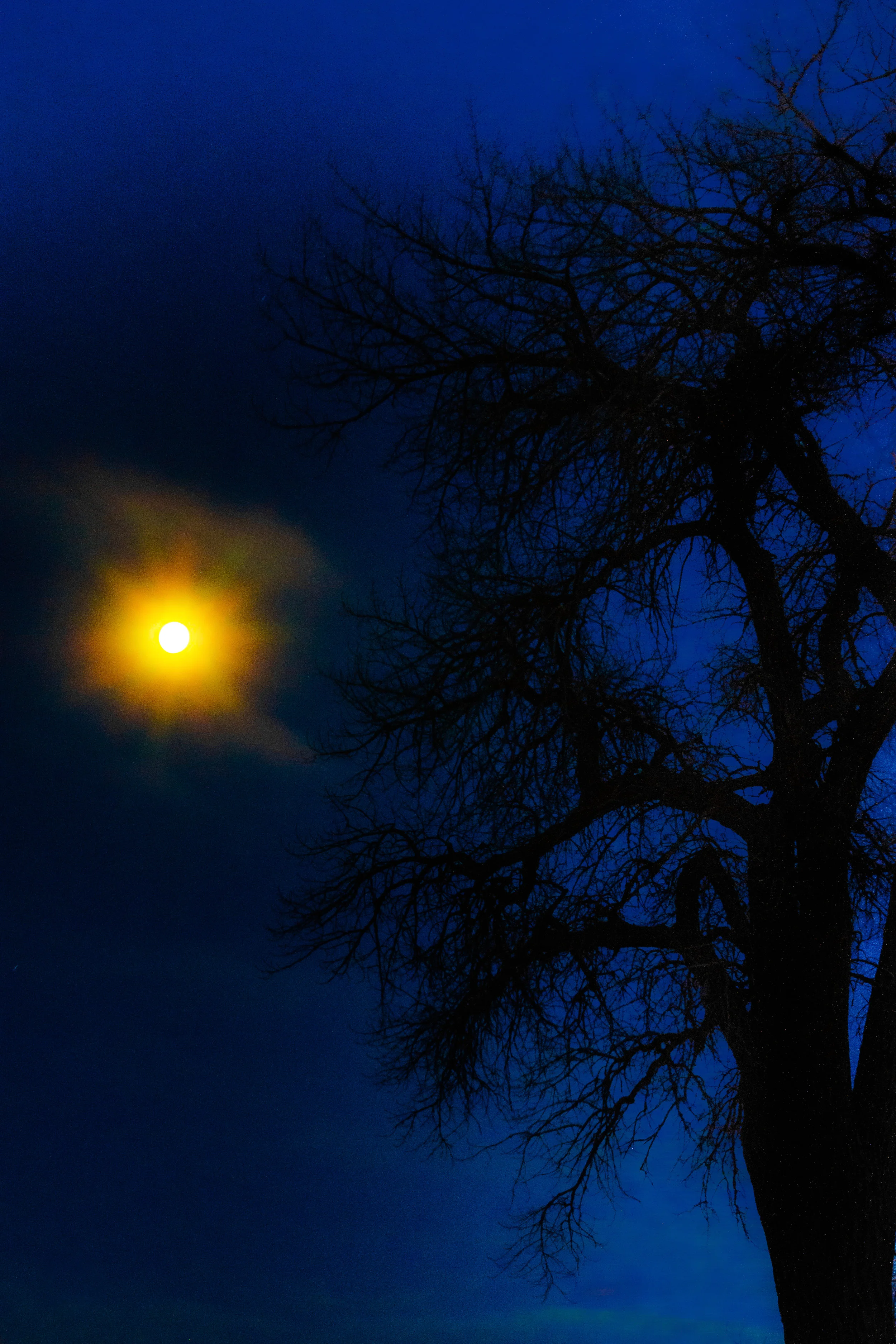 Fire in the Firmament. - Psalm 148:1-6