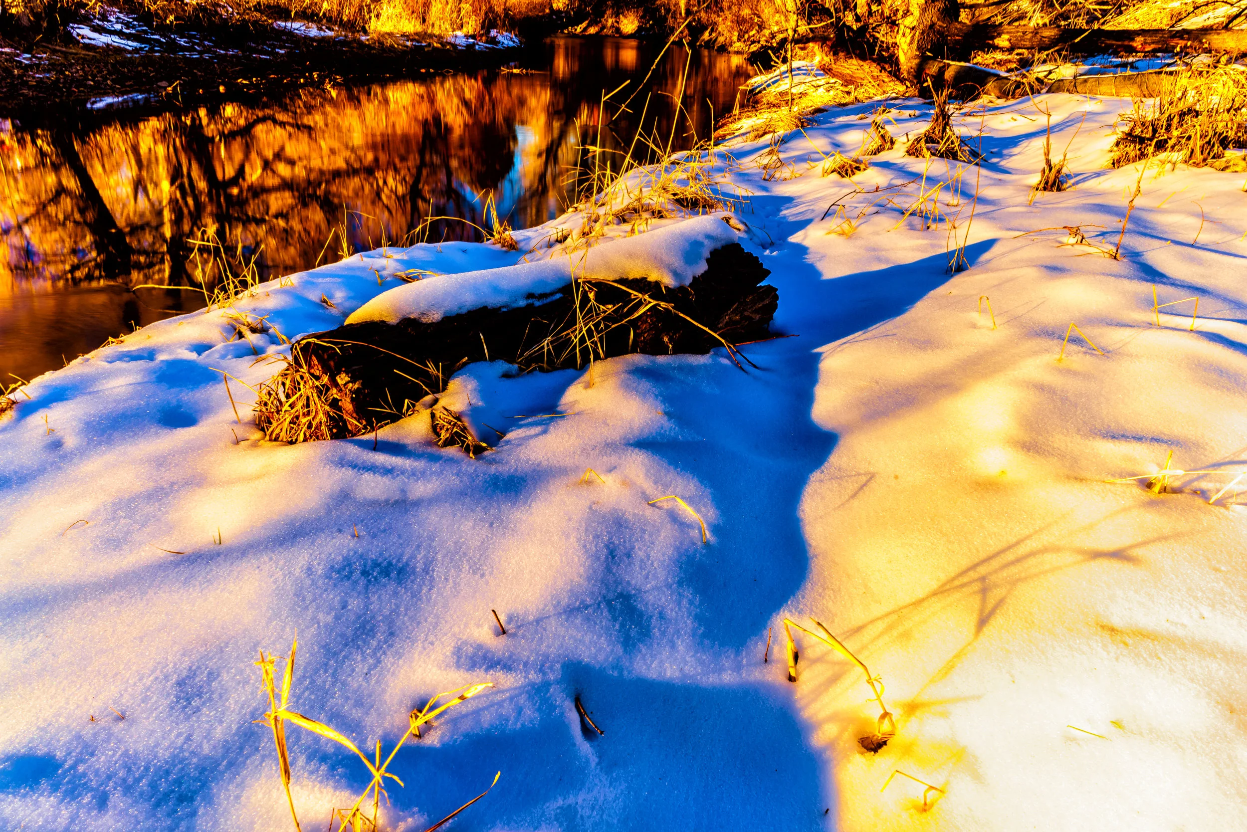 The play of light - Psalm 119:130