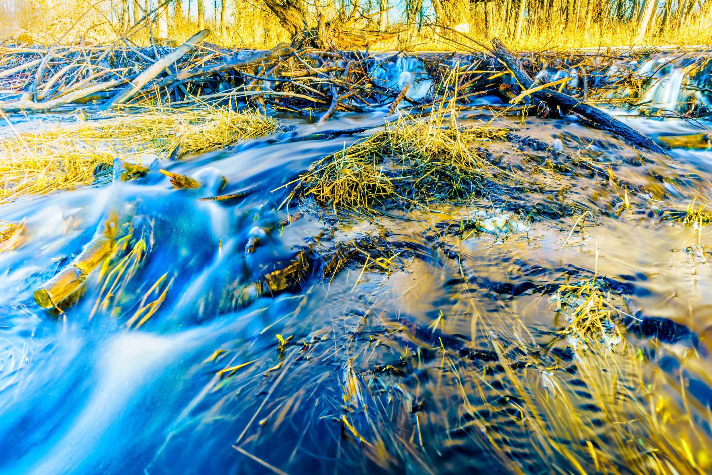 Strangled. - Job 30:16-18 