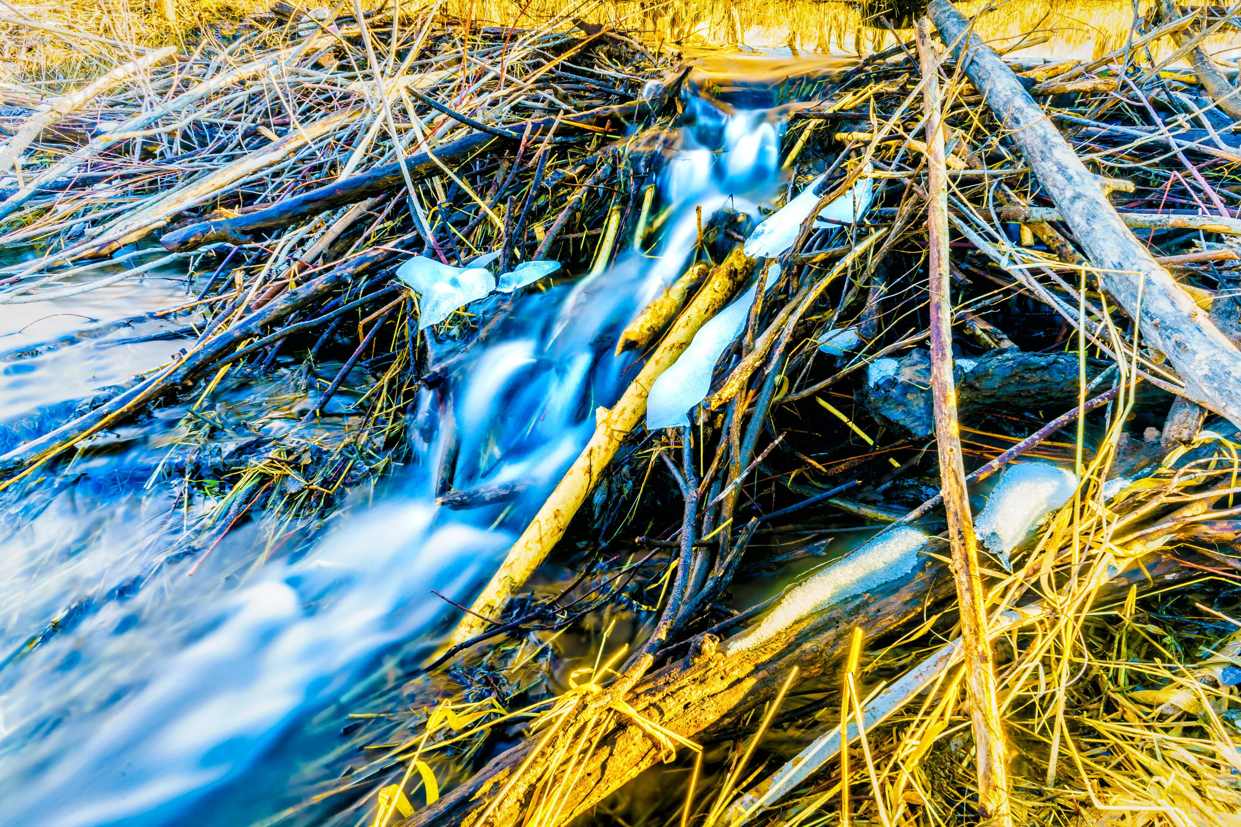 On thin ice. - Psalm 32:8 
