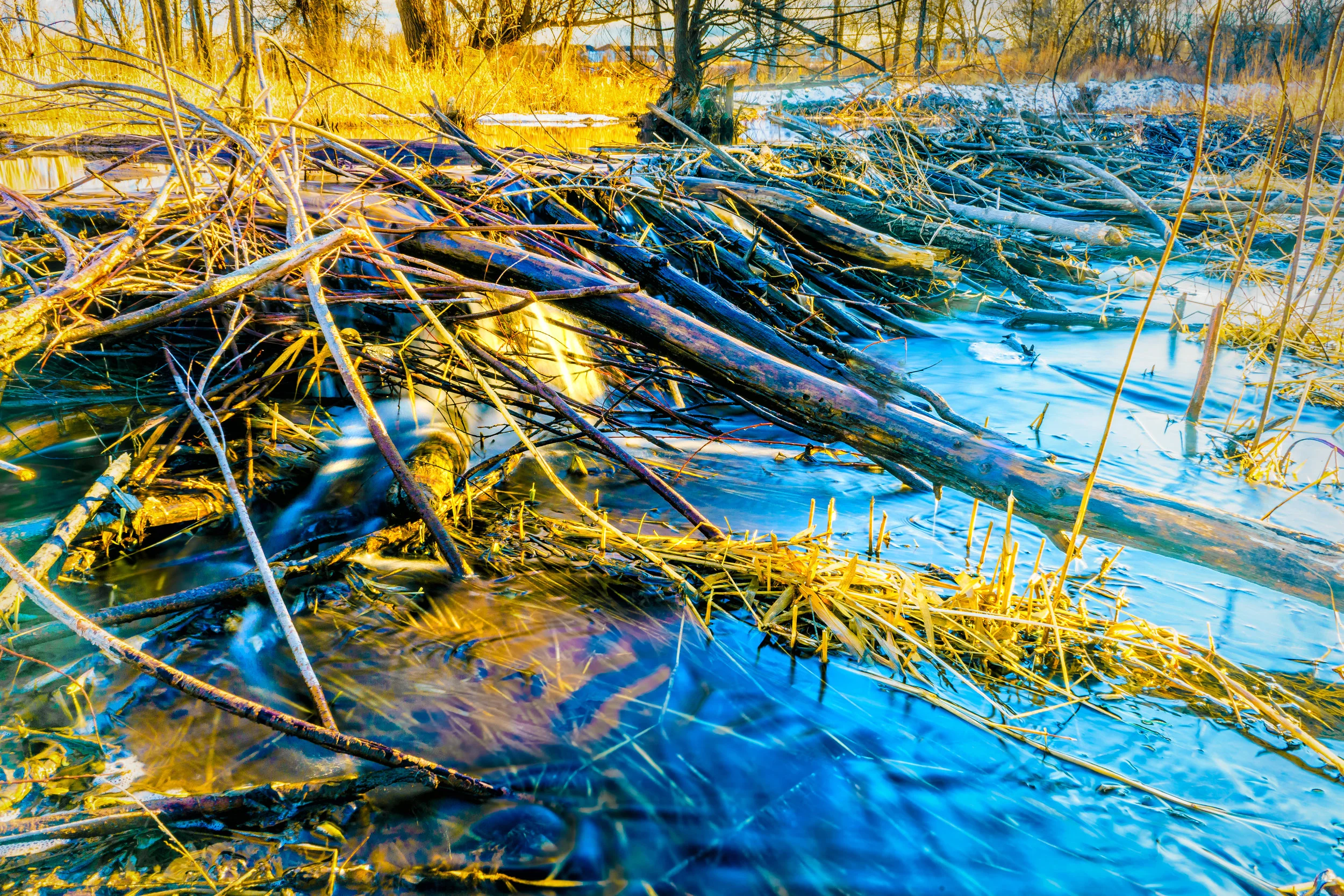 Wisdom. - Proverbs 18:4 