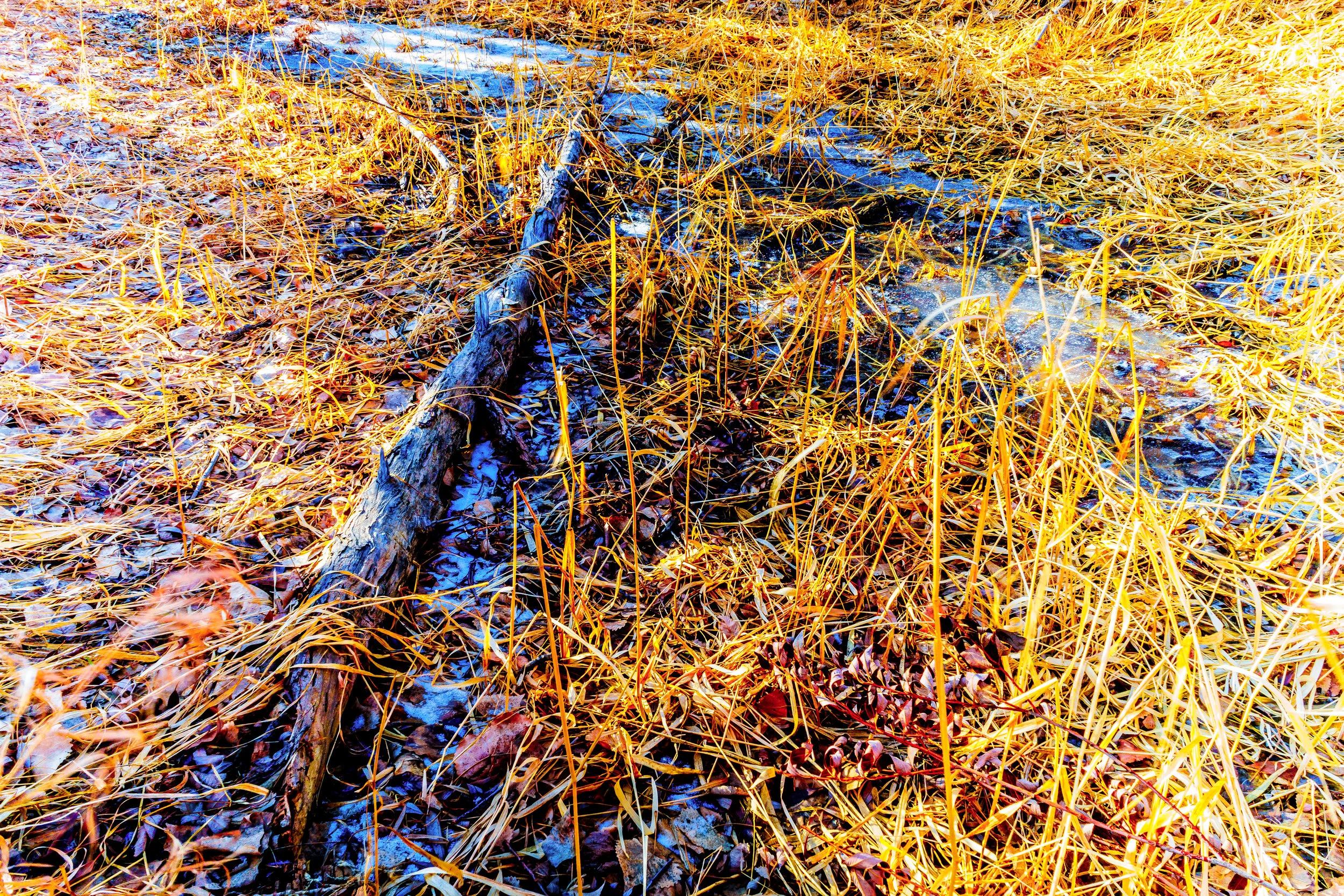 Sticks. - Proverbs 18:24