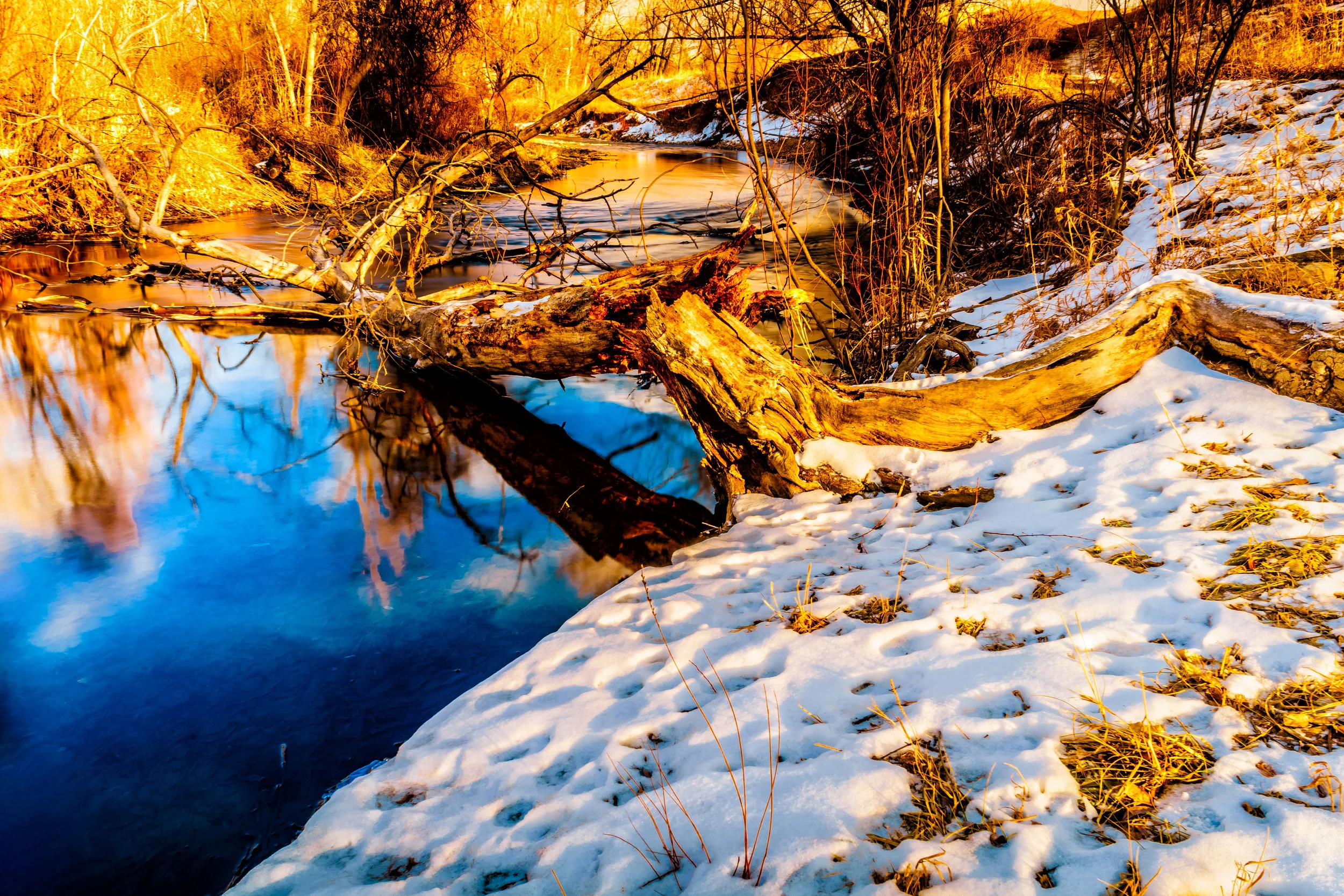 The fall of pride, exaltation of the meek. Ezekiel 17:24