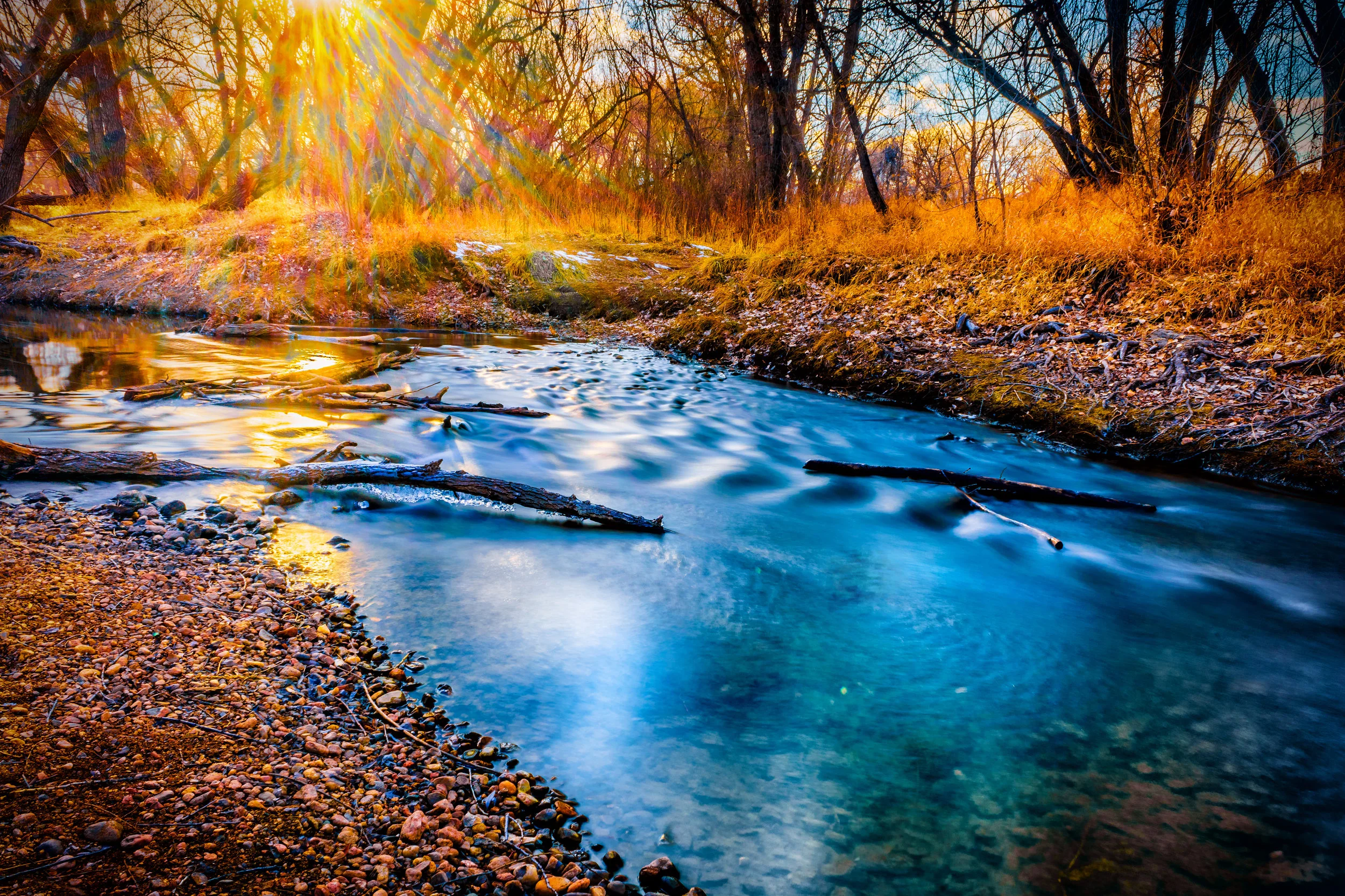 Skipping down the creek. - Malachi 4:2