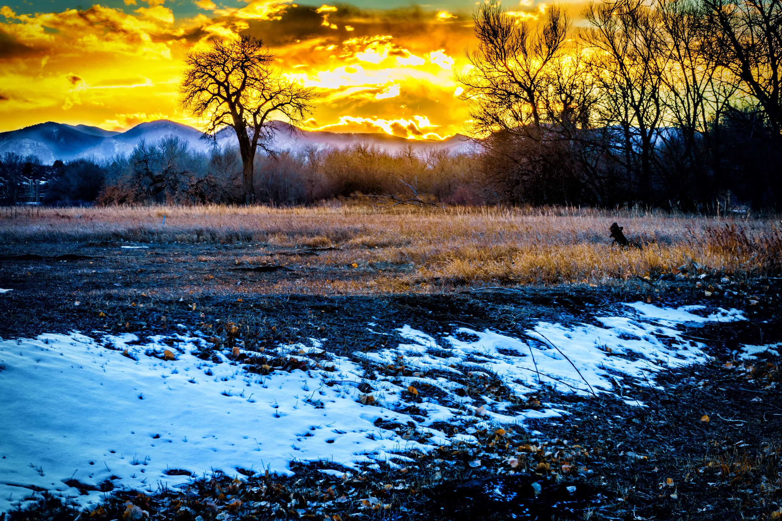 The will of God. - 2 Kings 1:10