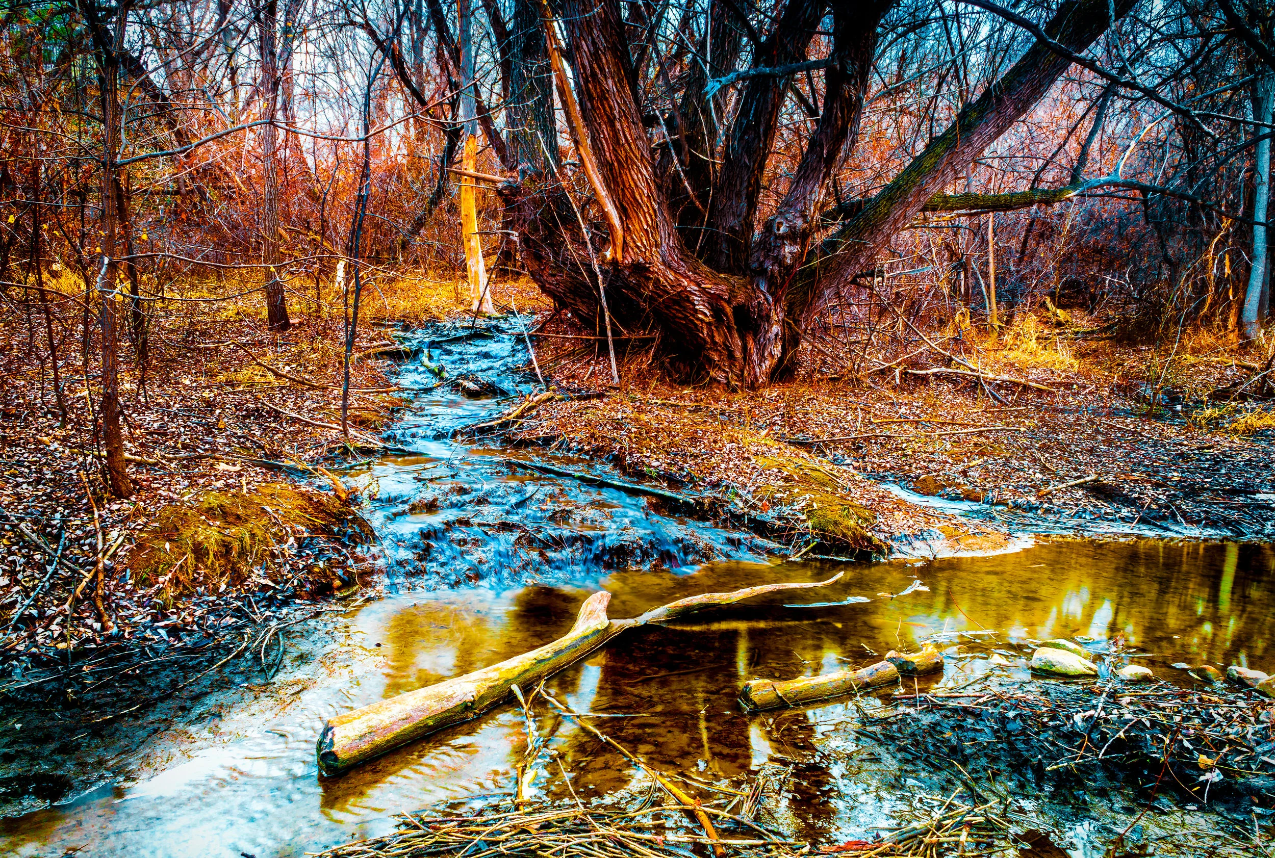 True love. - Romans 5:8