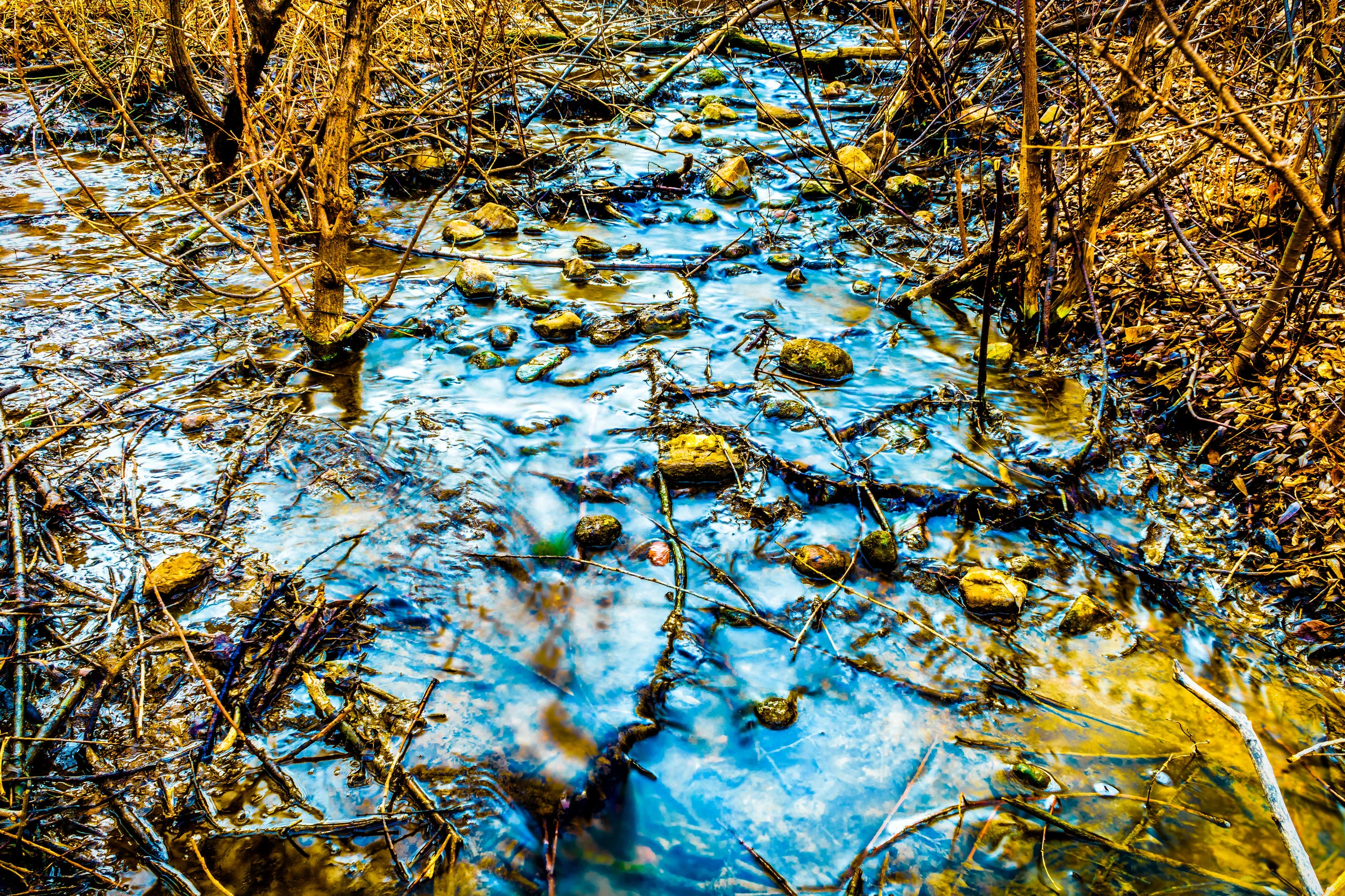 Sabbath Rest. - Leviticus 23:38-41